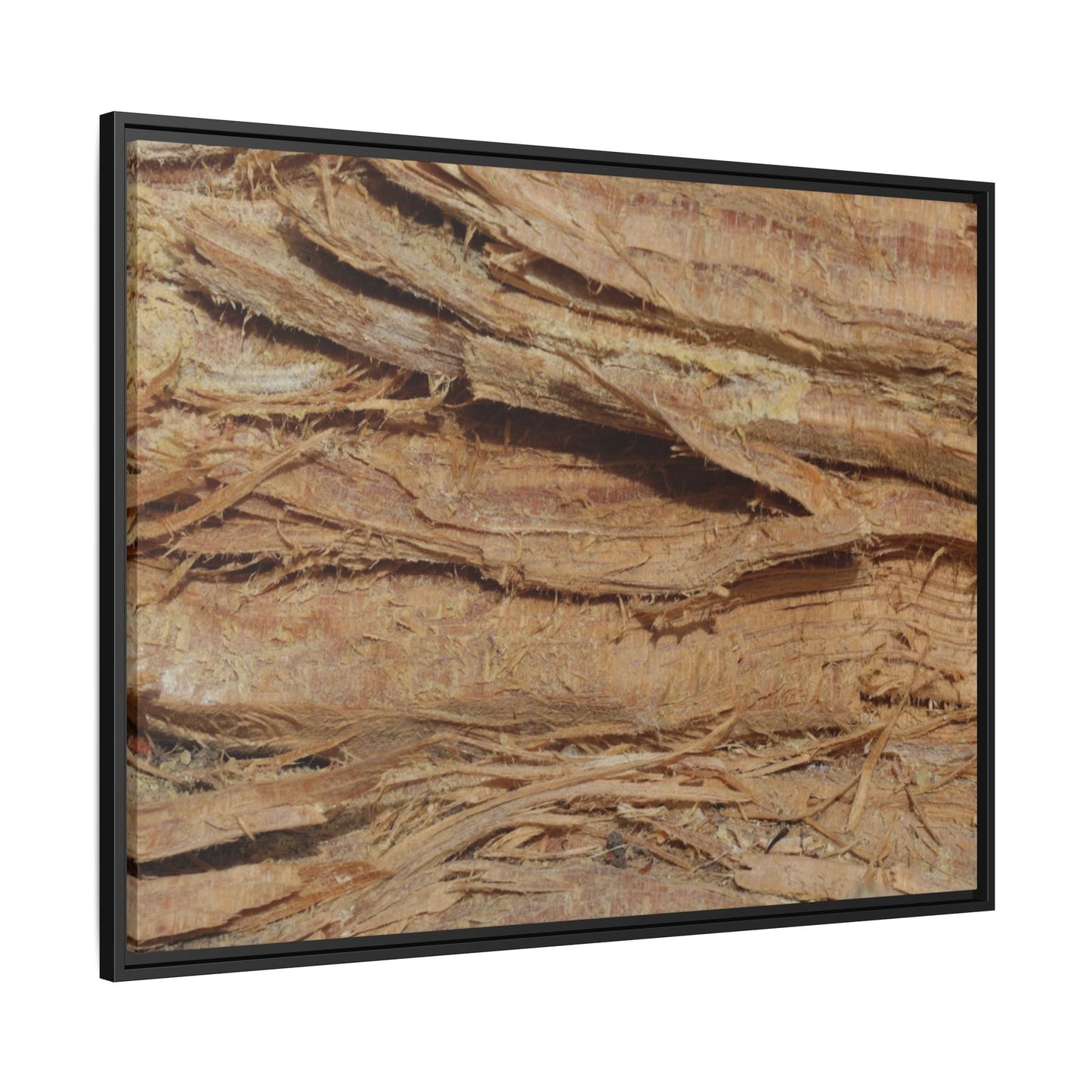 Splintered Bark - Unique Stretched Canvas Wall Art