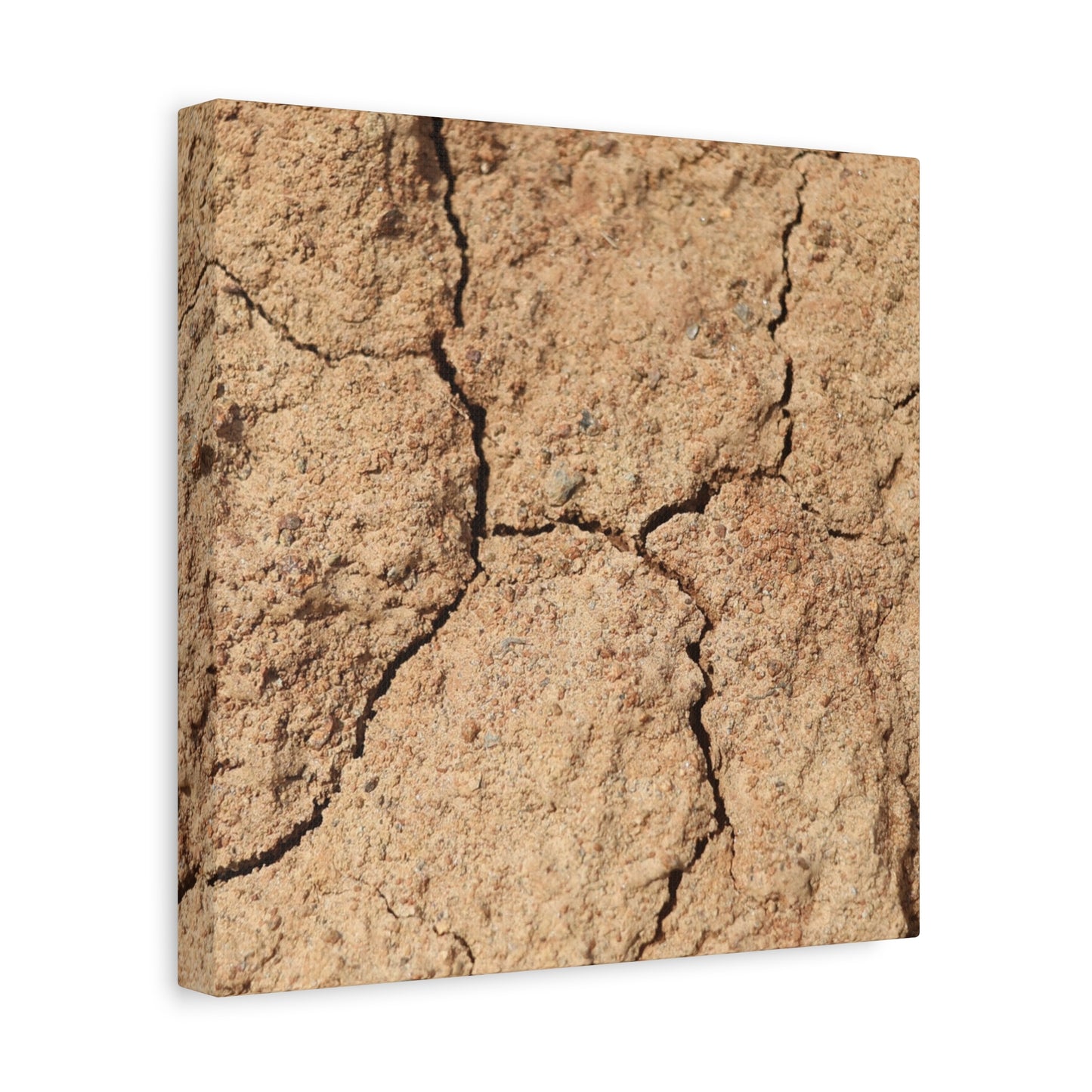 Cracked Earth's Lament - Unique Frameless Canvas Wall Art