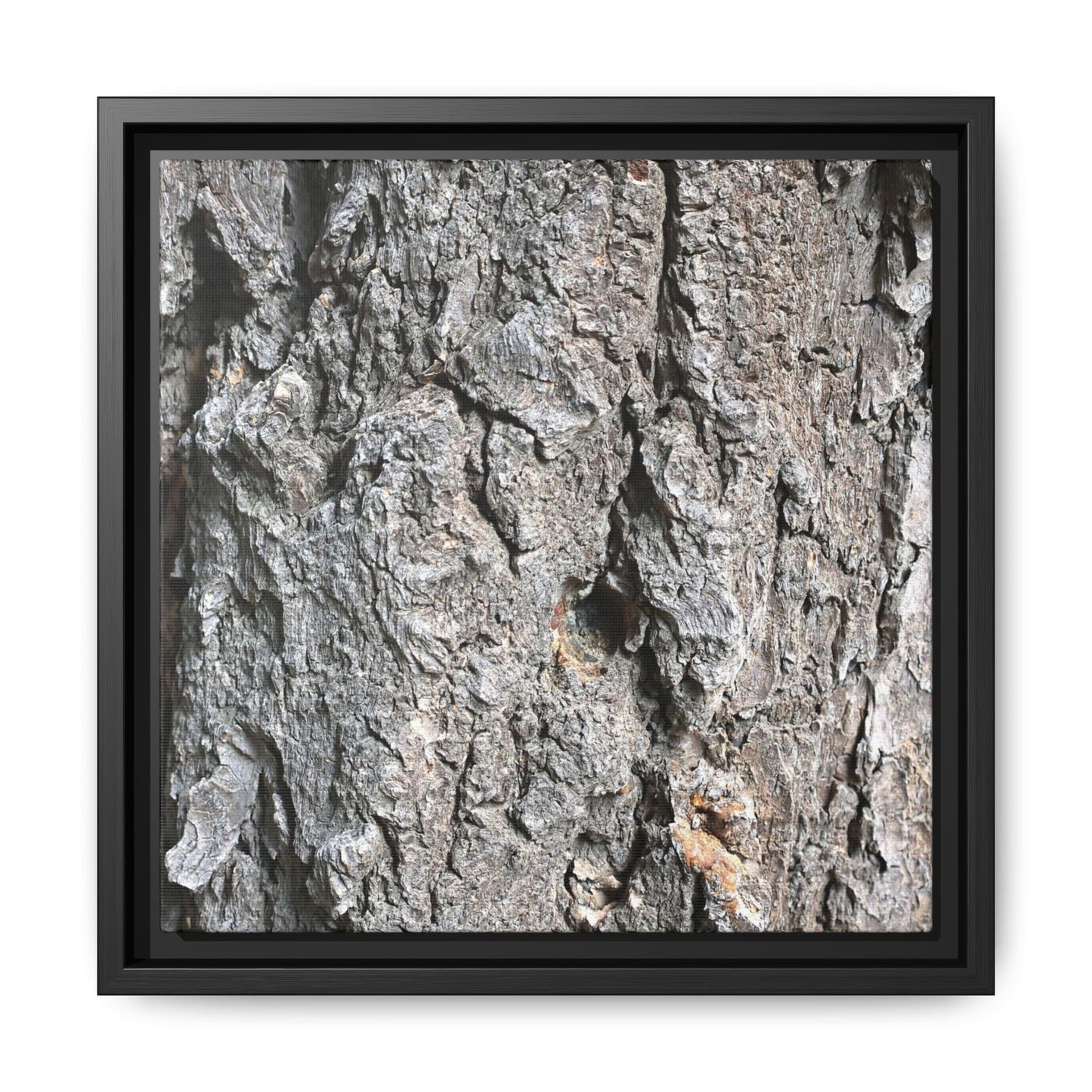Crusty Exterior - Unique Stretched Canvas Wall Art