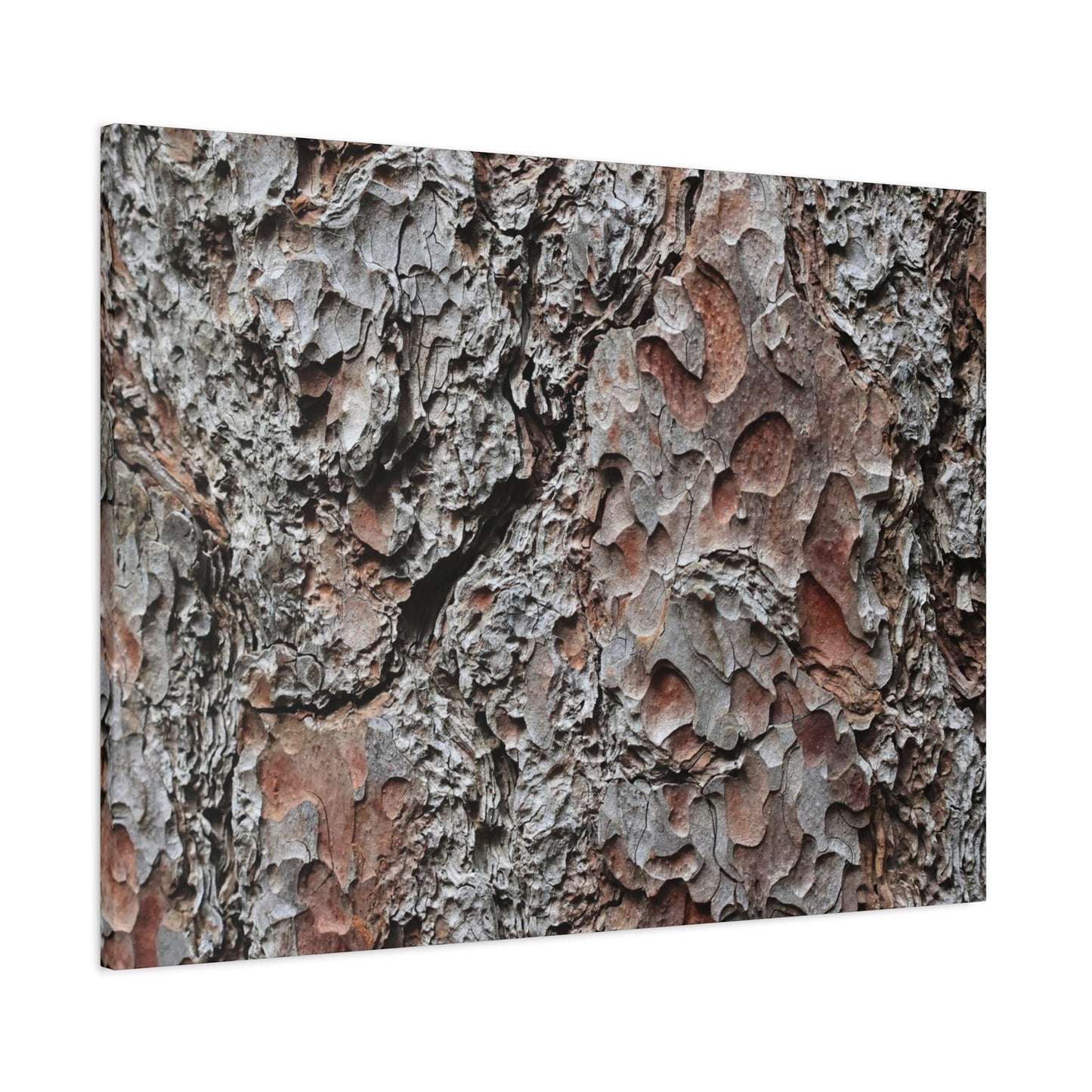Textured Whispers of Bark - Unique Frameless Canvas Wall Art