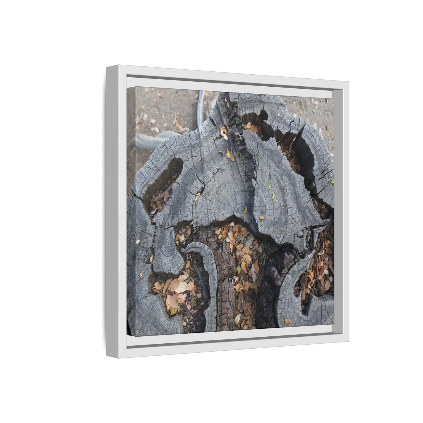 Time's Fractal Memory - Unique Stretched Canvas Wall Art