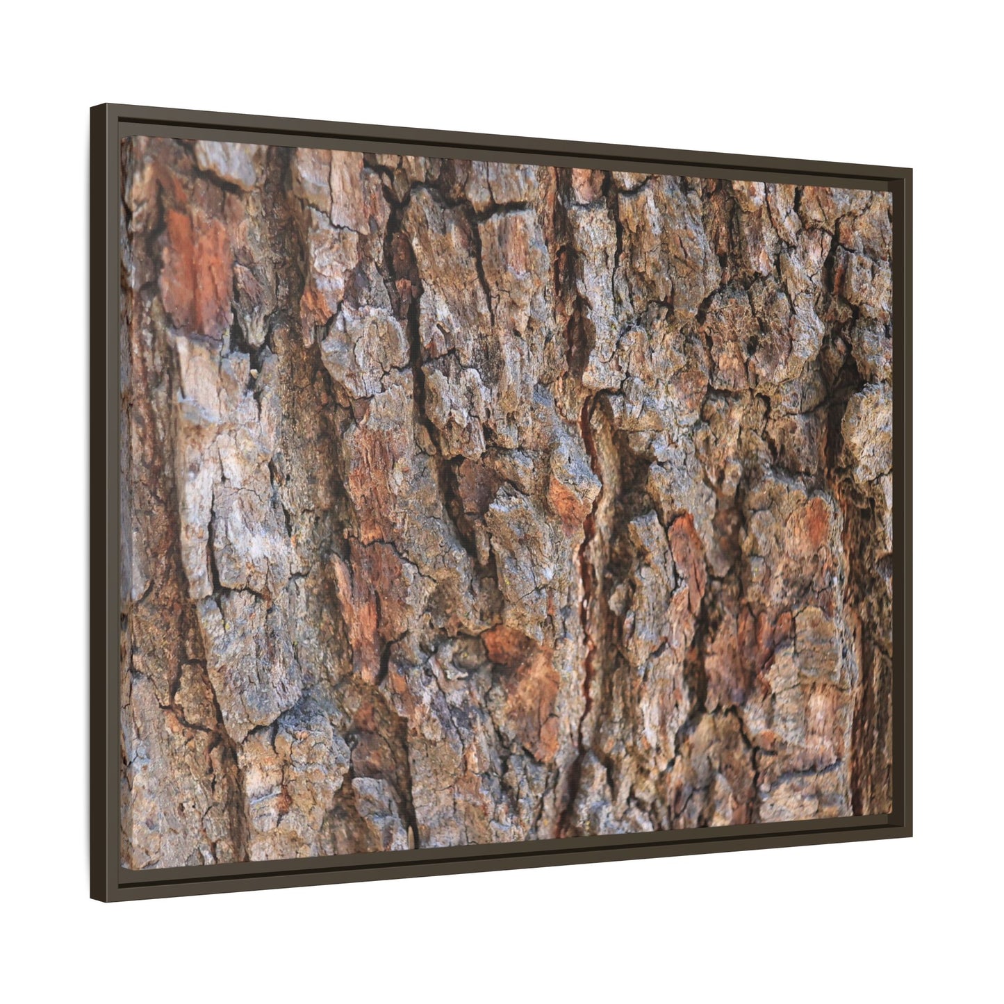 Tree's Timeworn Tale - Unique Stretched Canvas Wall Art