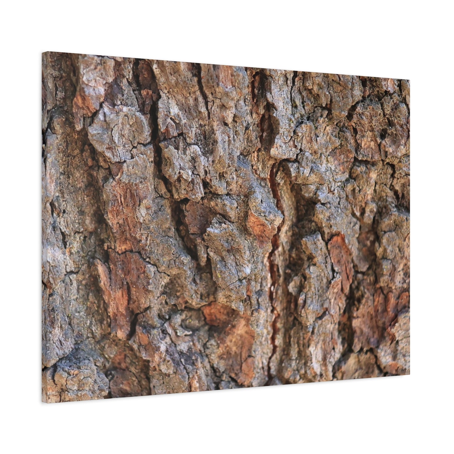 Roots of Time - Unique Frameless Canvas Wall Art