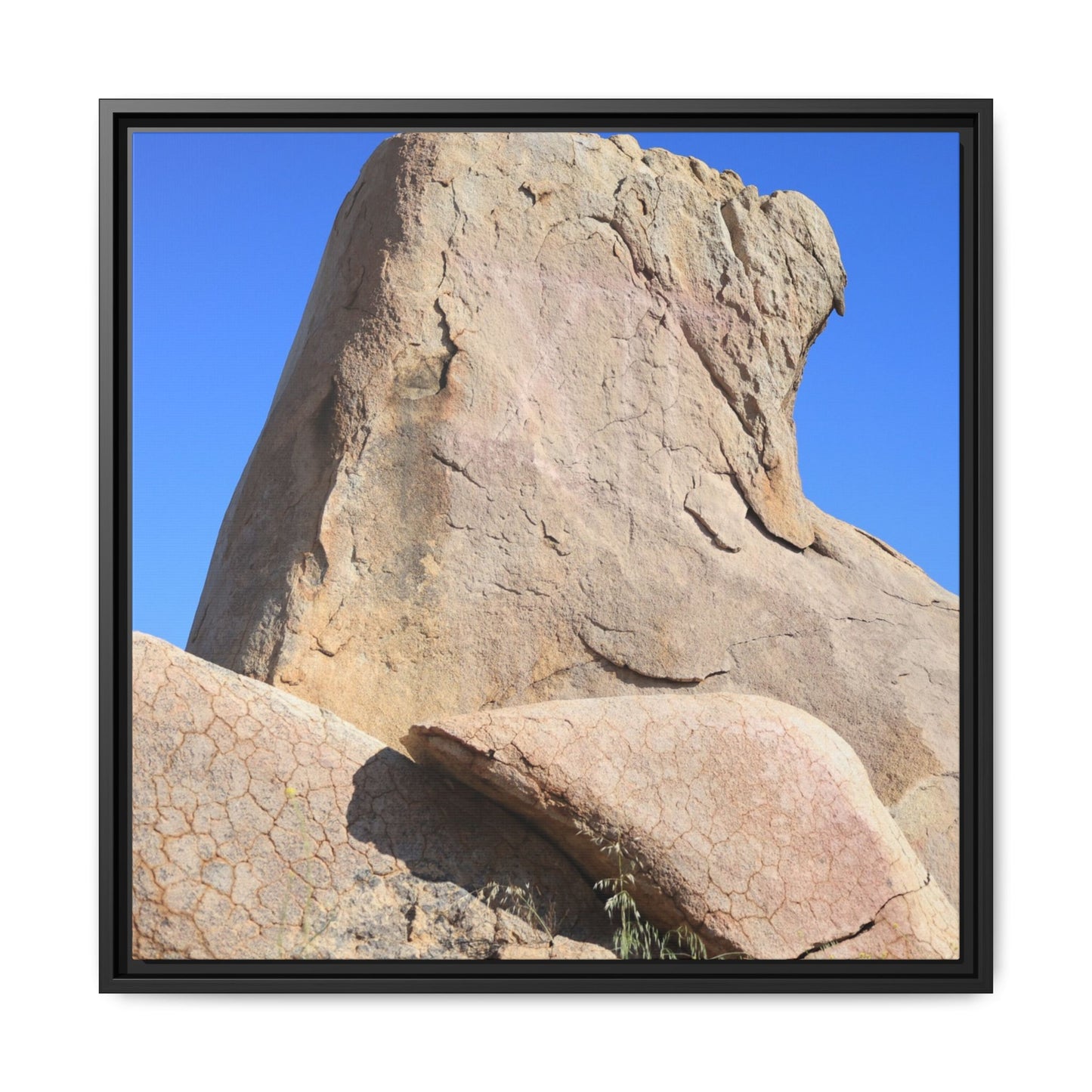 Rocky Sentinel - Unique Stretched Canvas Wall Art