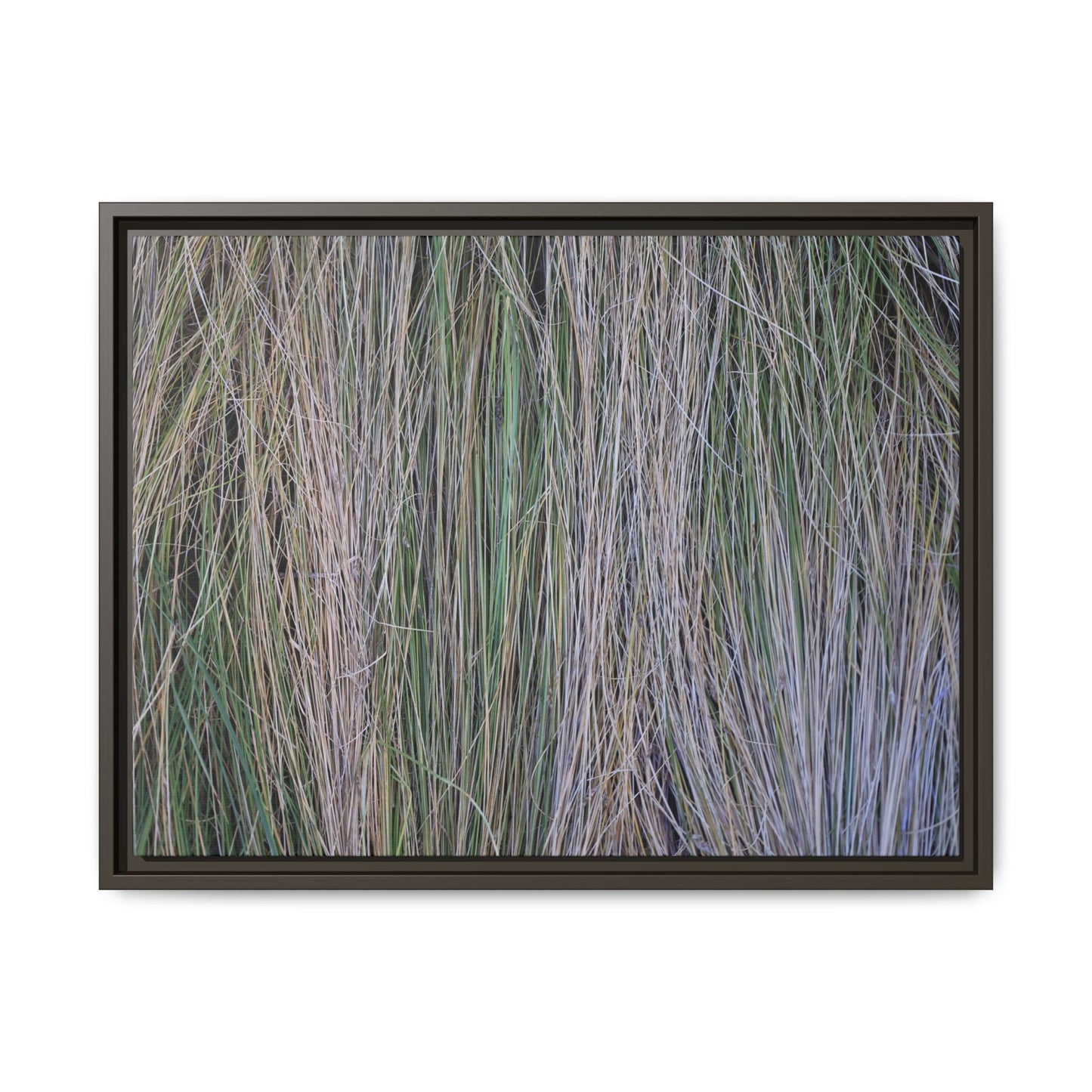 Whispers of Silver Grass - Unique Stretched Canvas Wall Art
