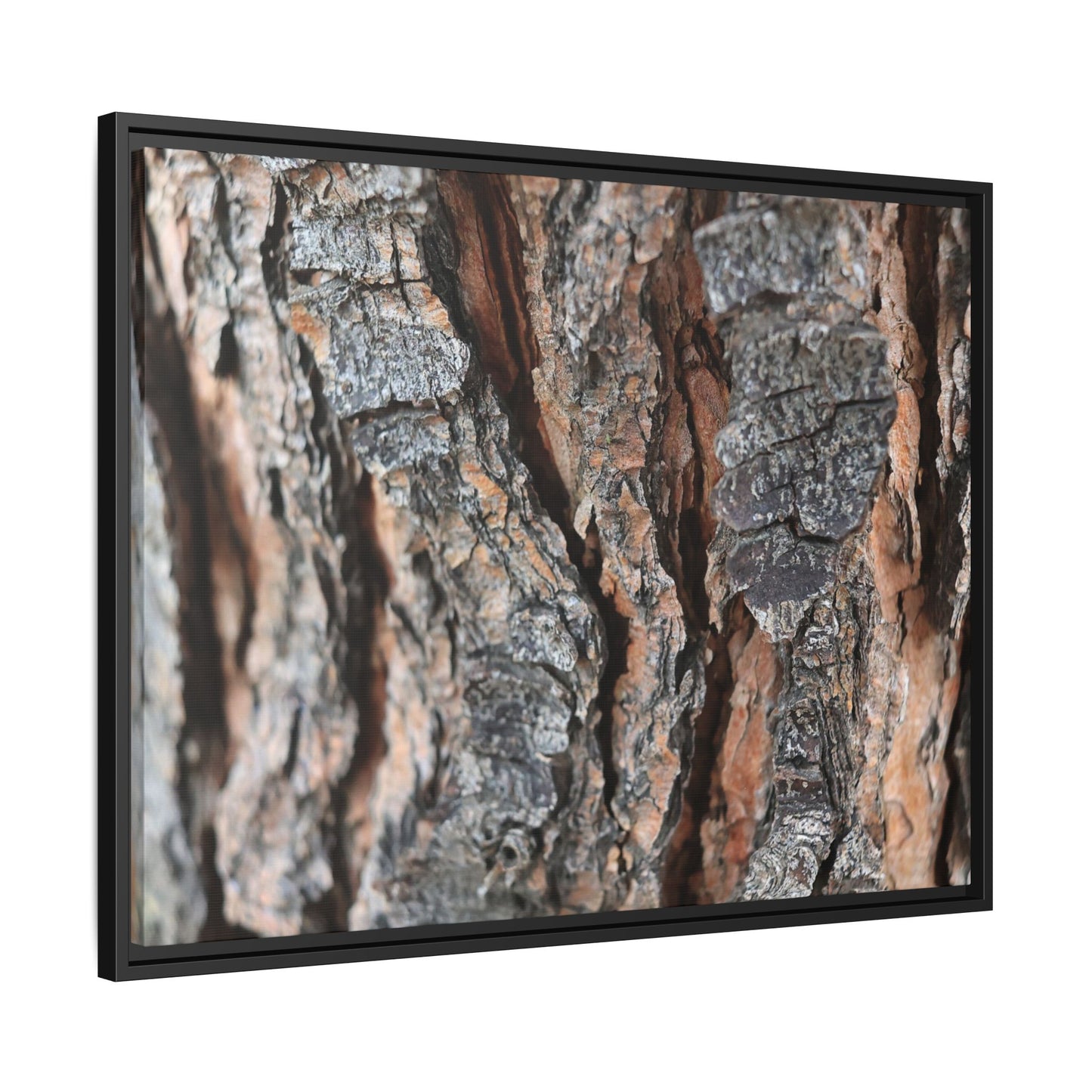 Fractured Nature - Unique Stretched Canvas Wall Art