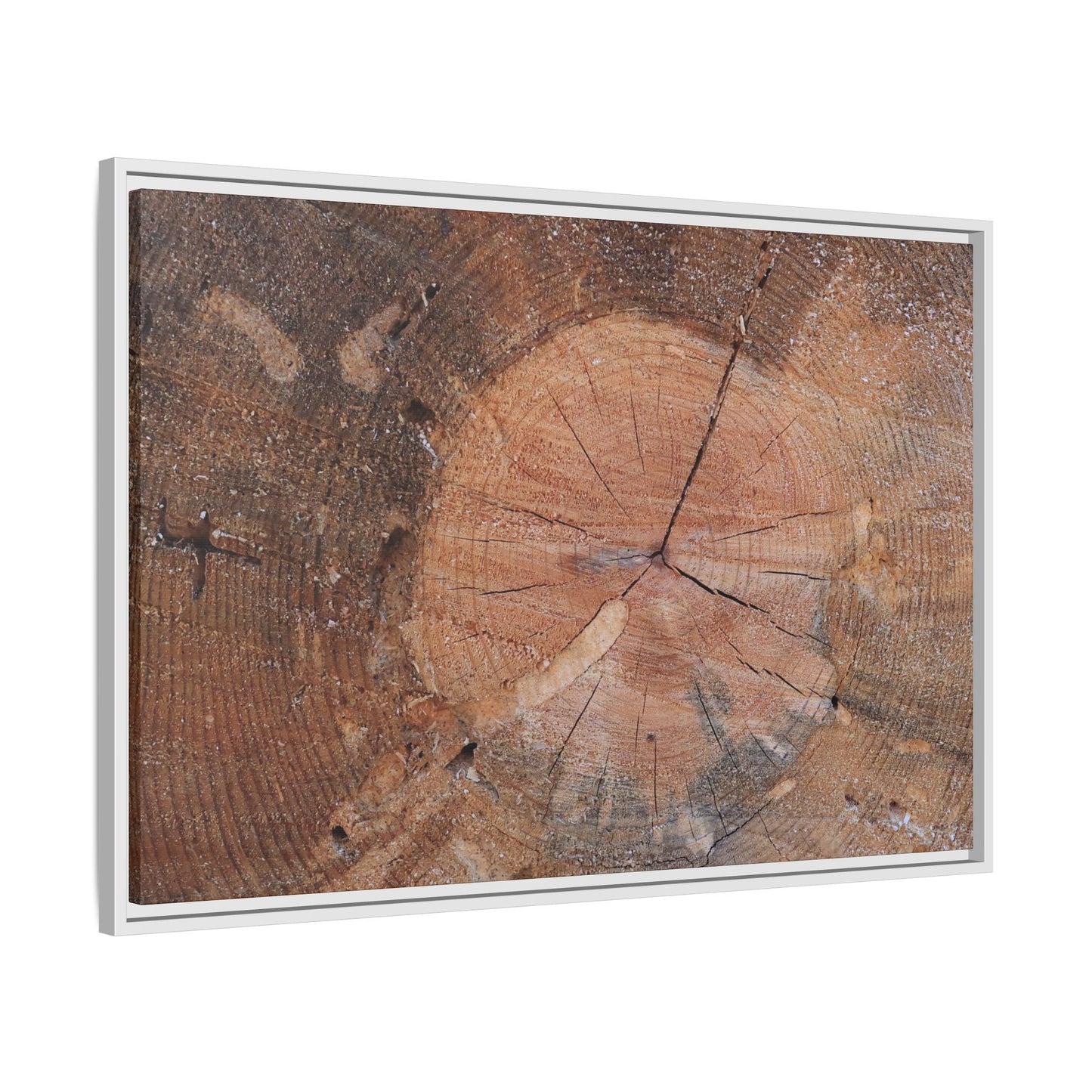 Concentric Memories - Unique Stretched Canvas Wall Art