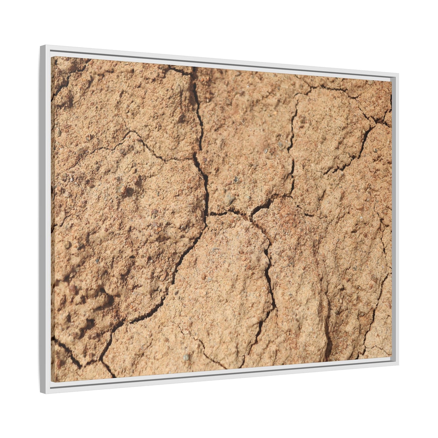 Parched Land - Unique Stretched Canvas Wall Art
