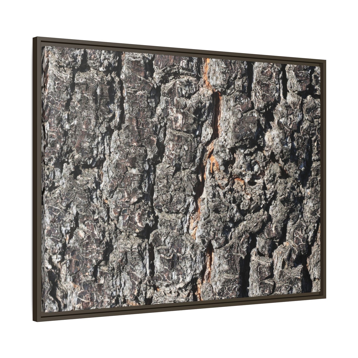 Aged Beauty - Unique Stretched Canvas Wall Art