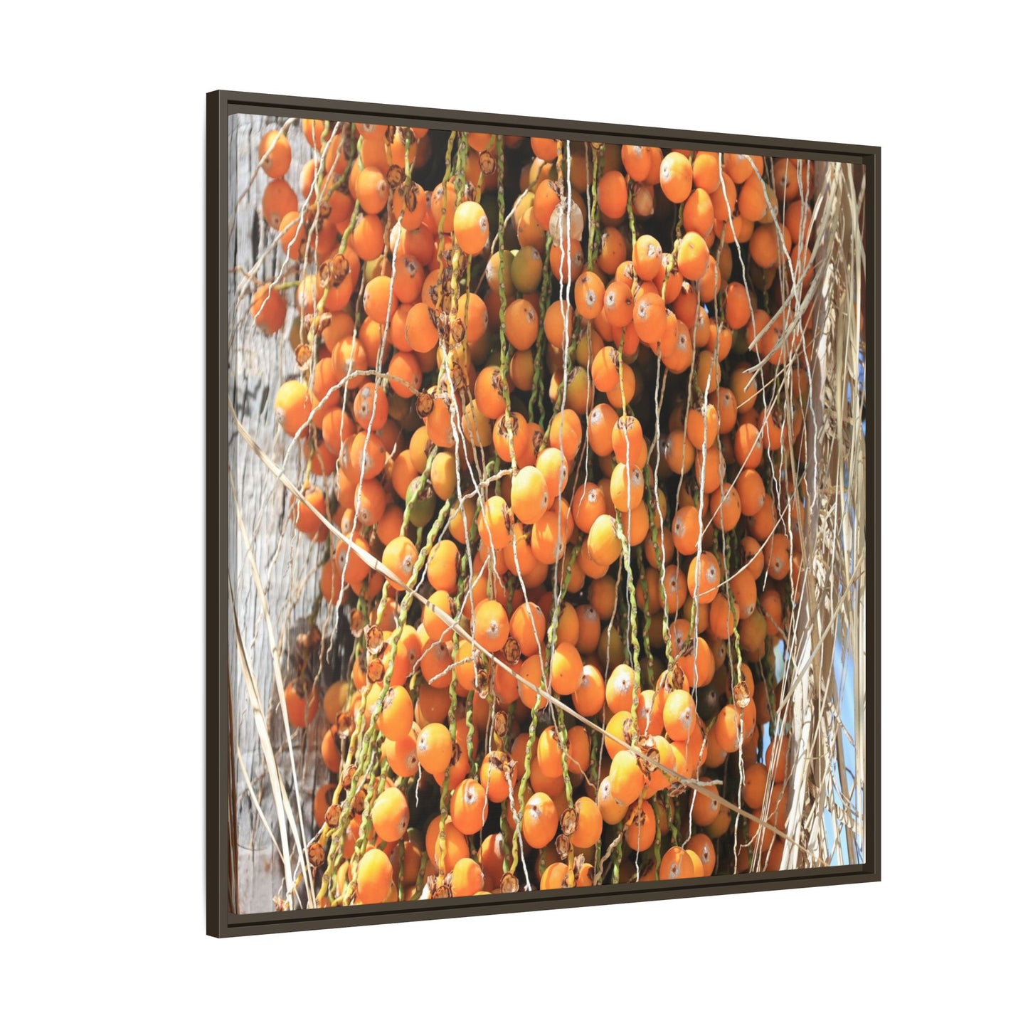 Clusters of Sunlight - Unique Canvas Wall Art