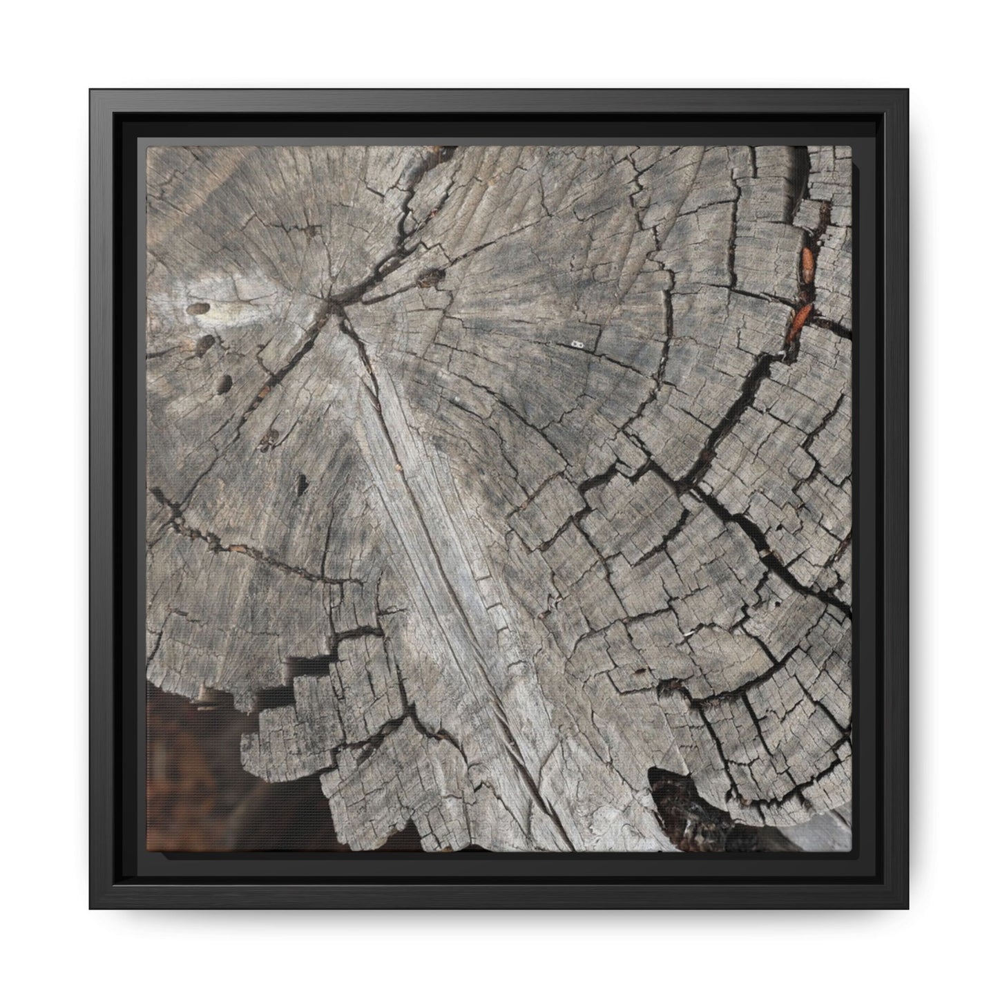 Time's Signature - Unique Stretched Canvas Wall Art