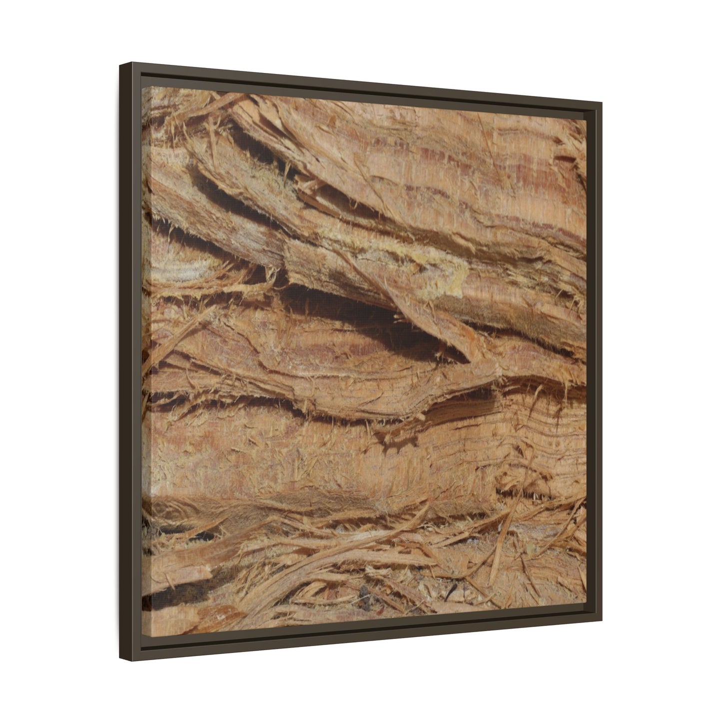 Splintered Bark - Unique Stretched Canvas Wall Art