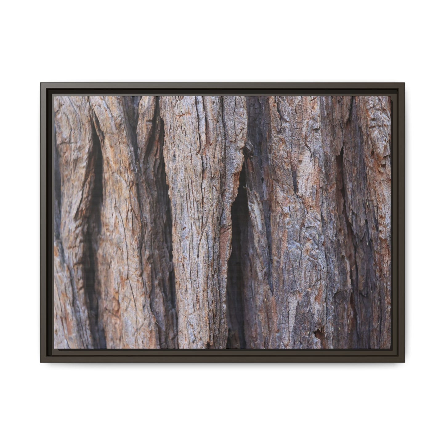 Ancient Grains - Unique Stretched Canvas Wall Art