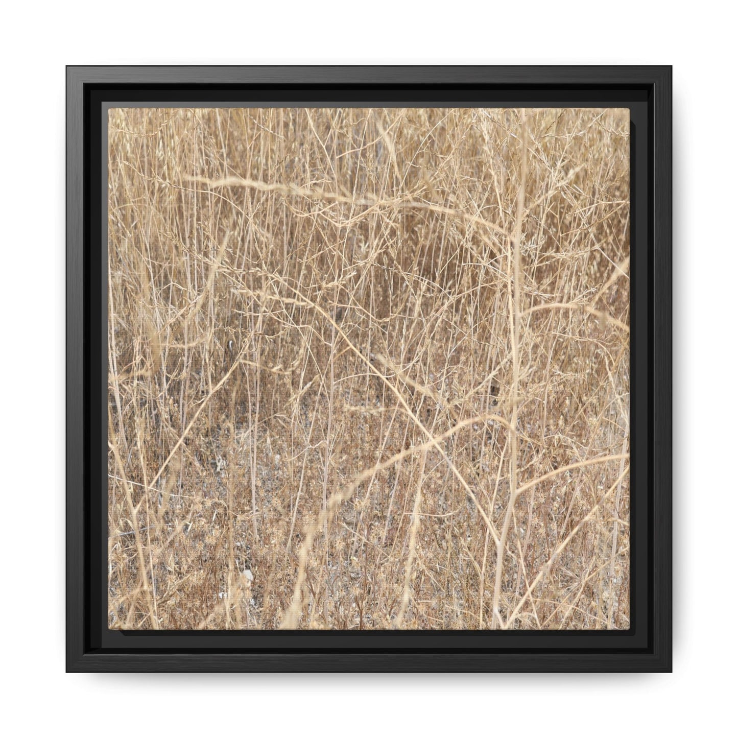 Golden Stalks - Unique Stretched Canvas Wall Art
