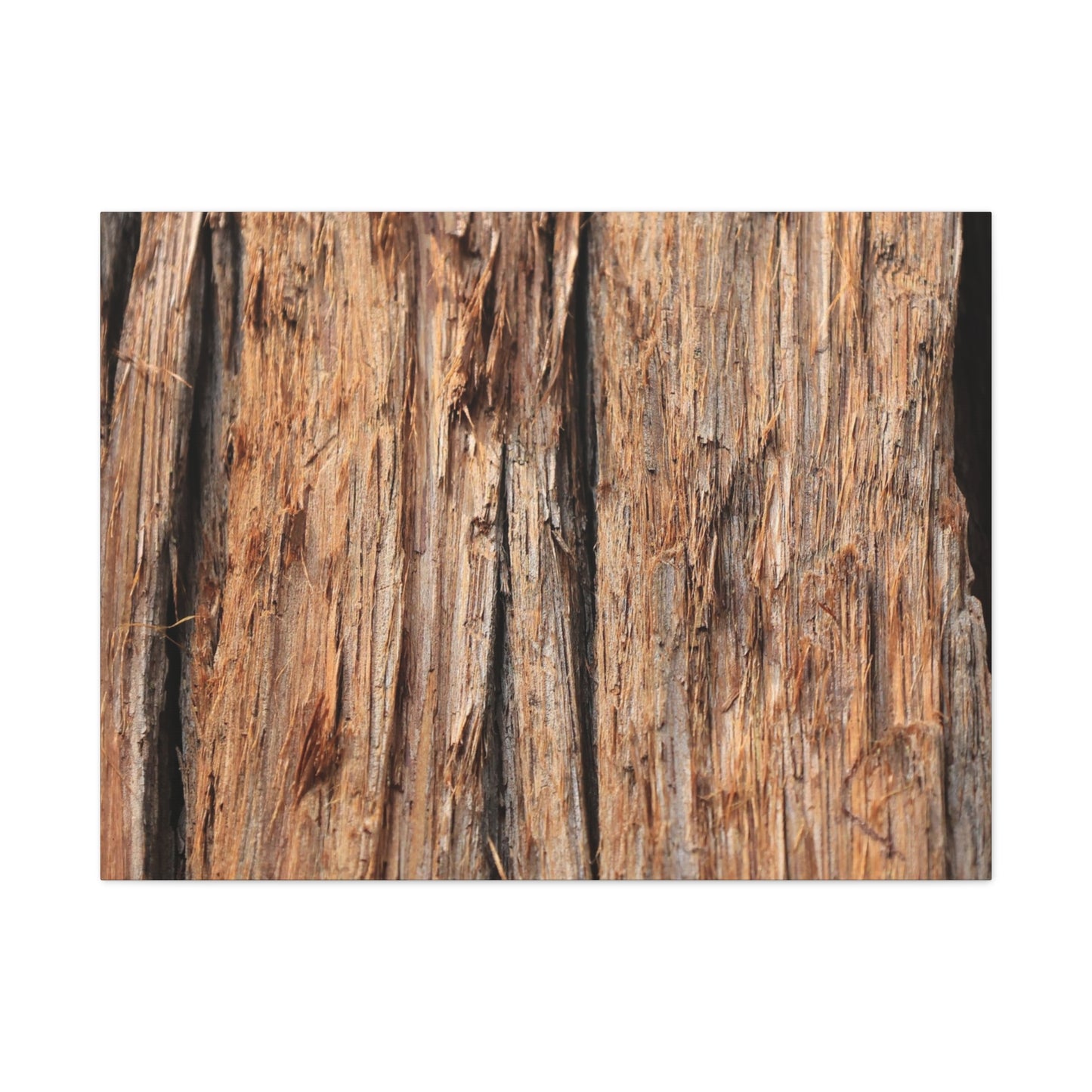 Woodland Echoes - Unique Frameless Canvas Wall Art
