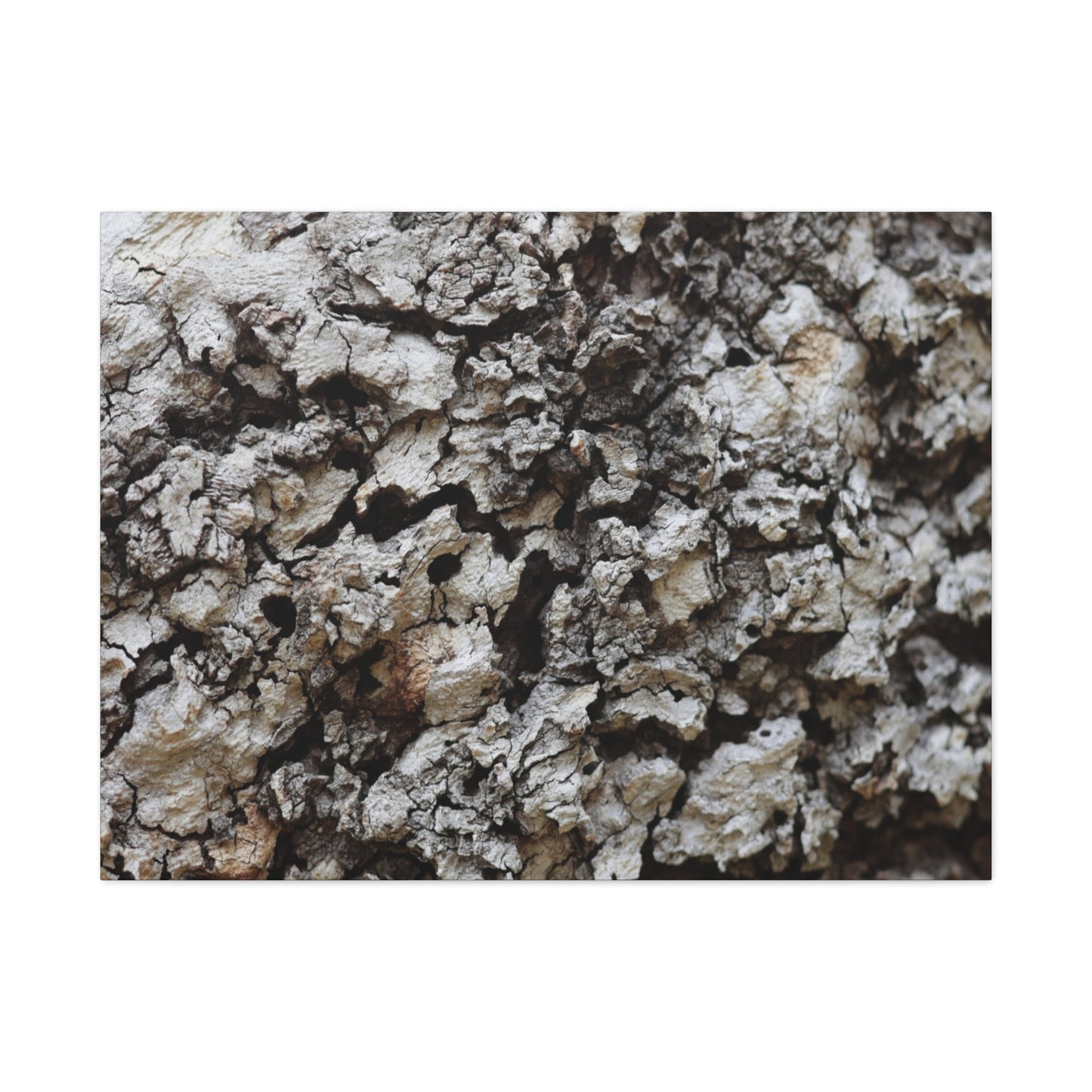 Cracked Earth Tapestry - Unique Frameless Canvas Wall Art