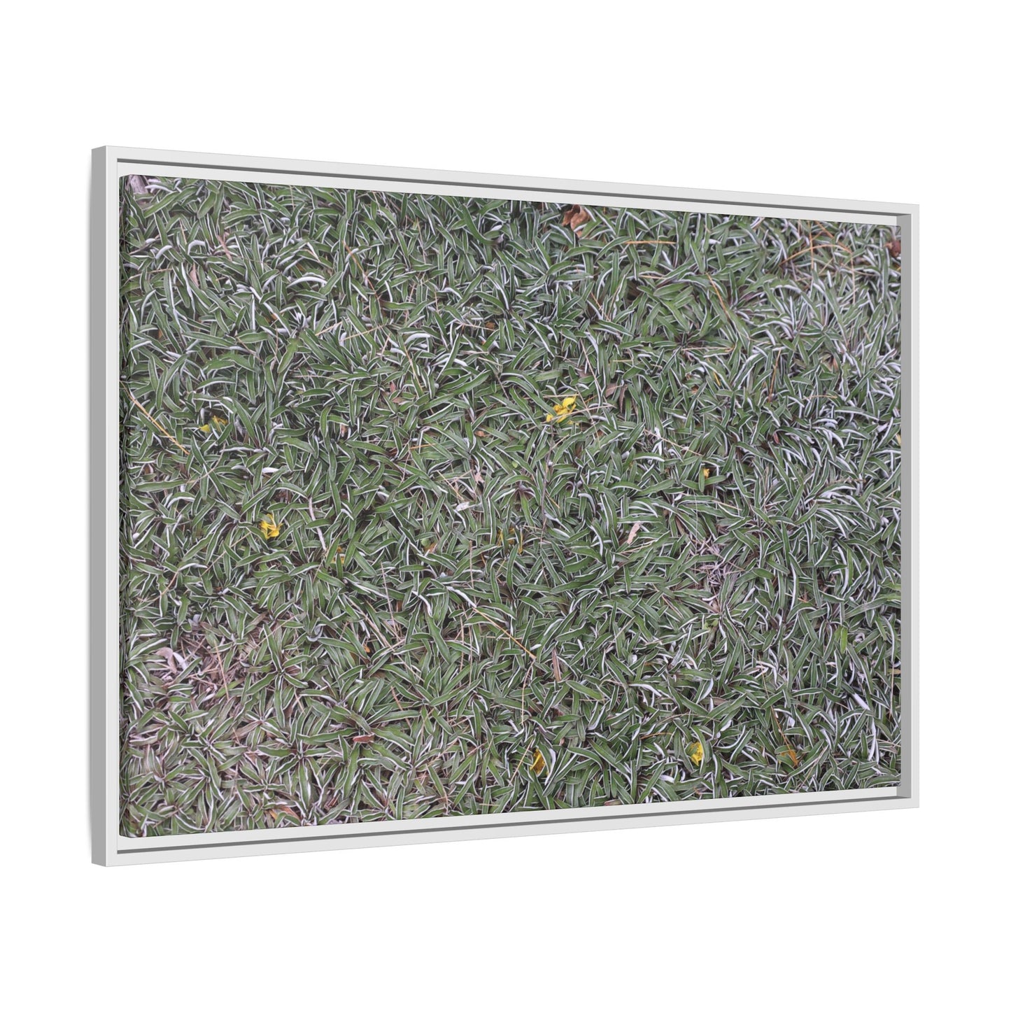 Grassy Texture - Unique Stretched Canvas Wall Art