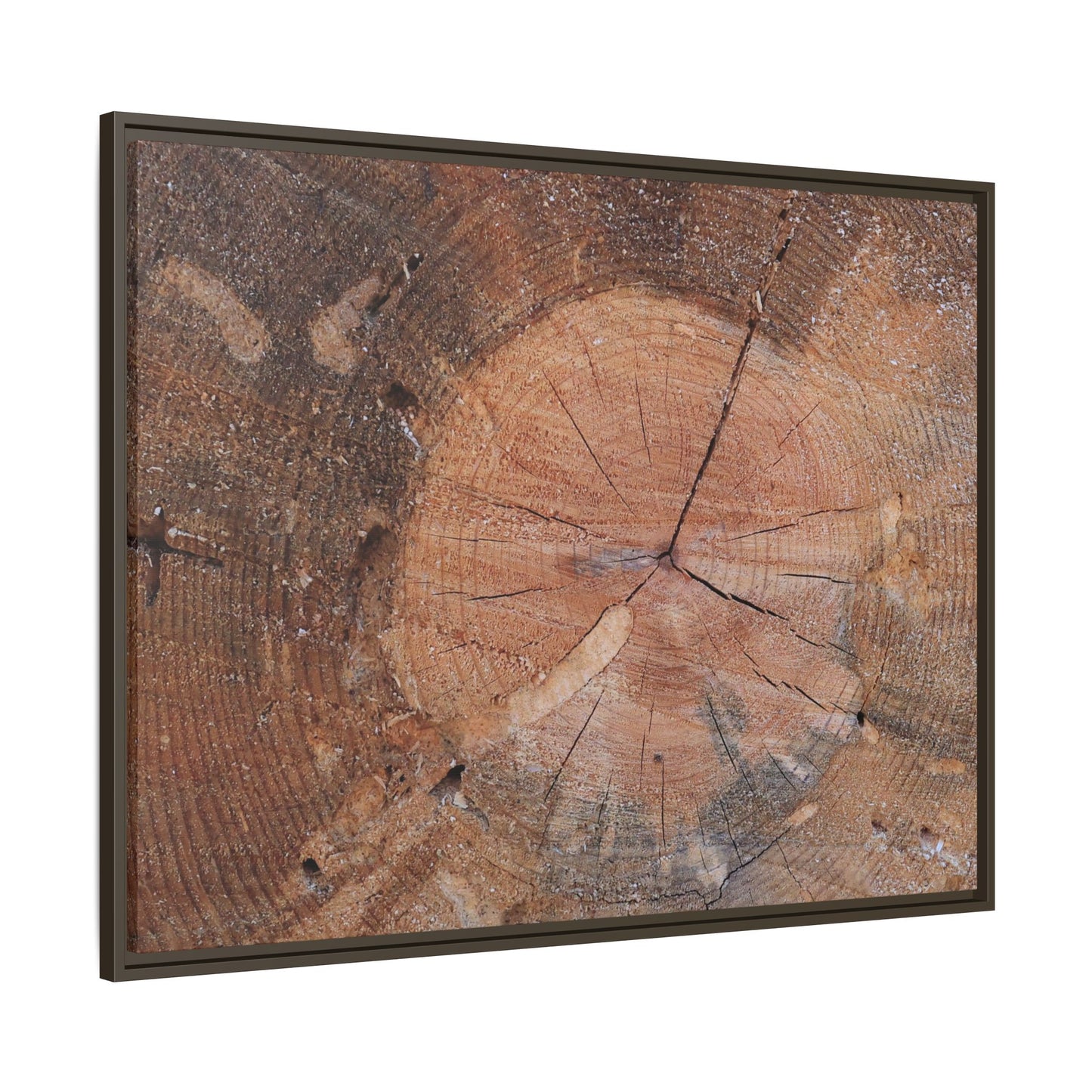 Concentric Memories - Unique Stretched Canvas Wall Art