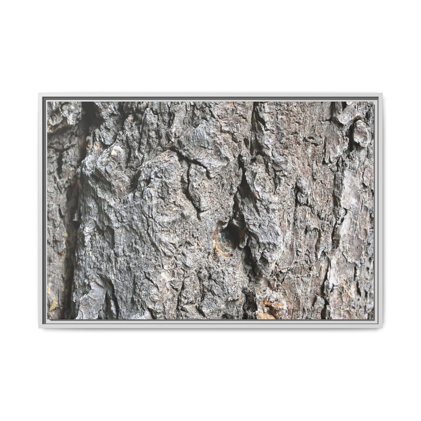 Crusty Exterior - Unique Stretched Canvas Wall Art