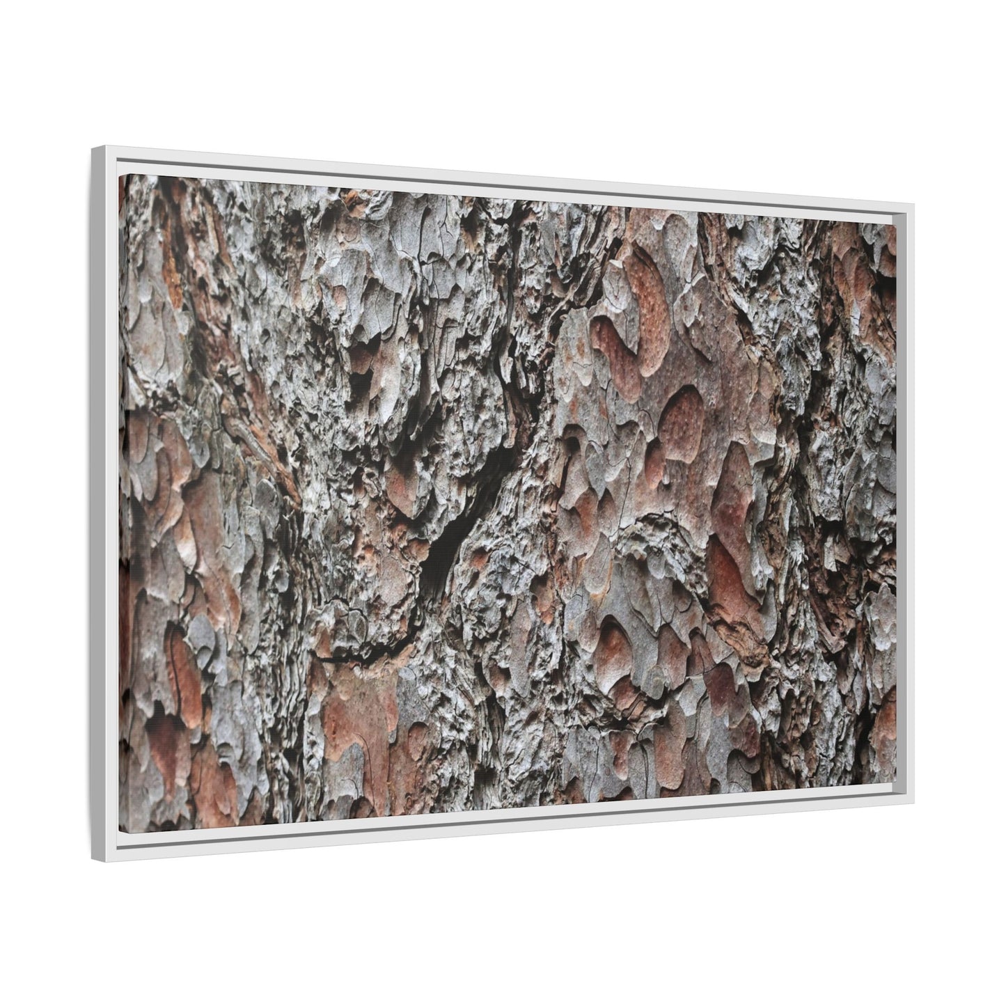 Bark Texture Symphony - Unique Stretched Canvas Wall Art