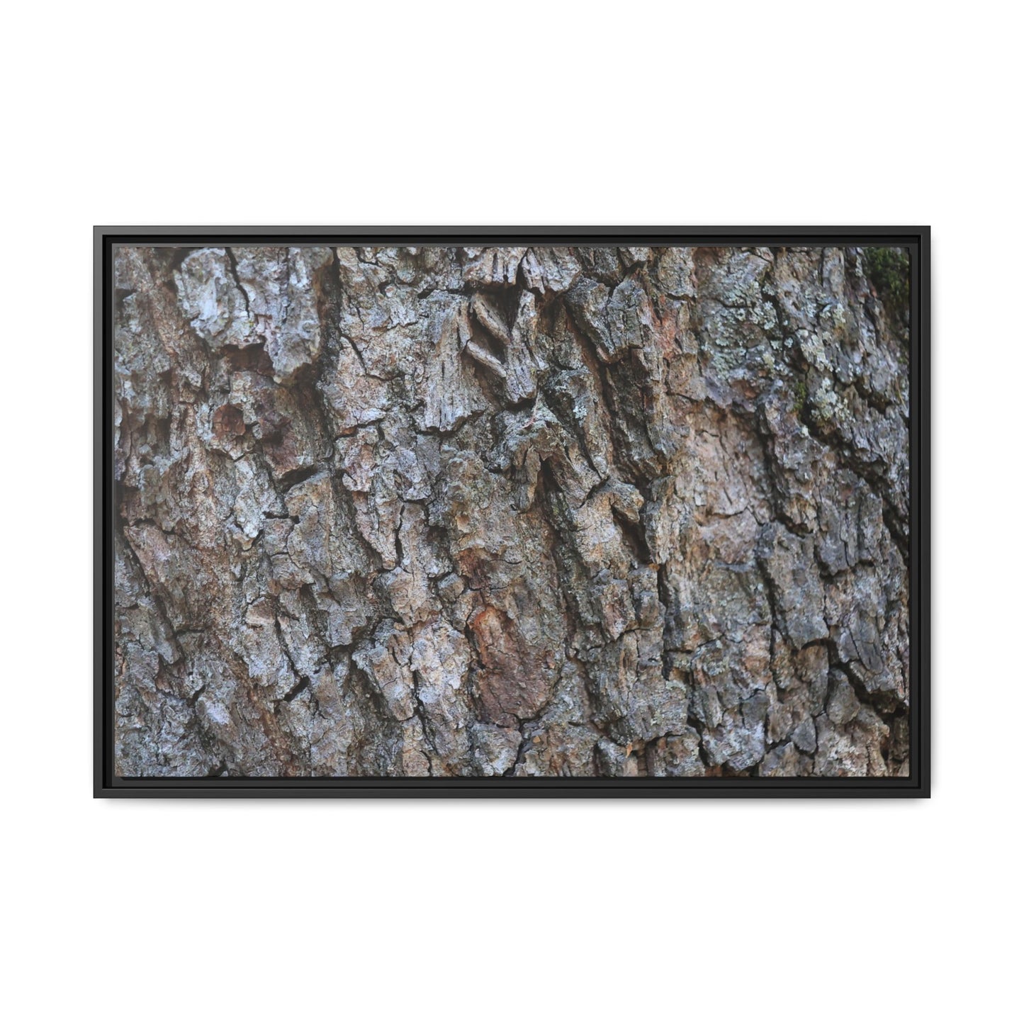 Woodland Skin - Unique Stretched Canvas Wall Art