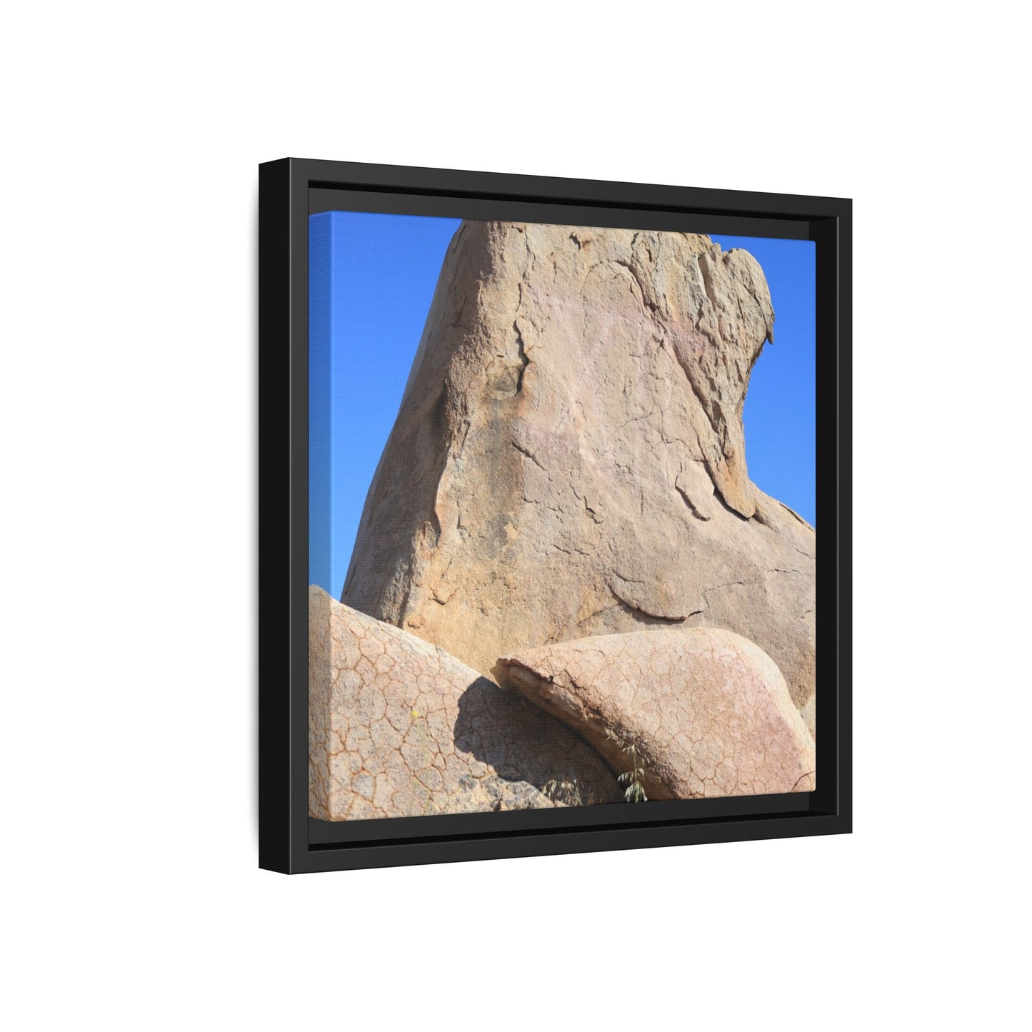 Rocky Sentinel - Unique Stretched Canvas Wall Art
