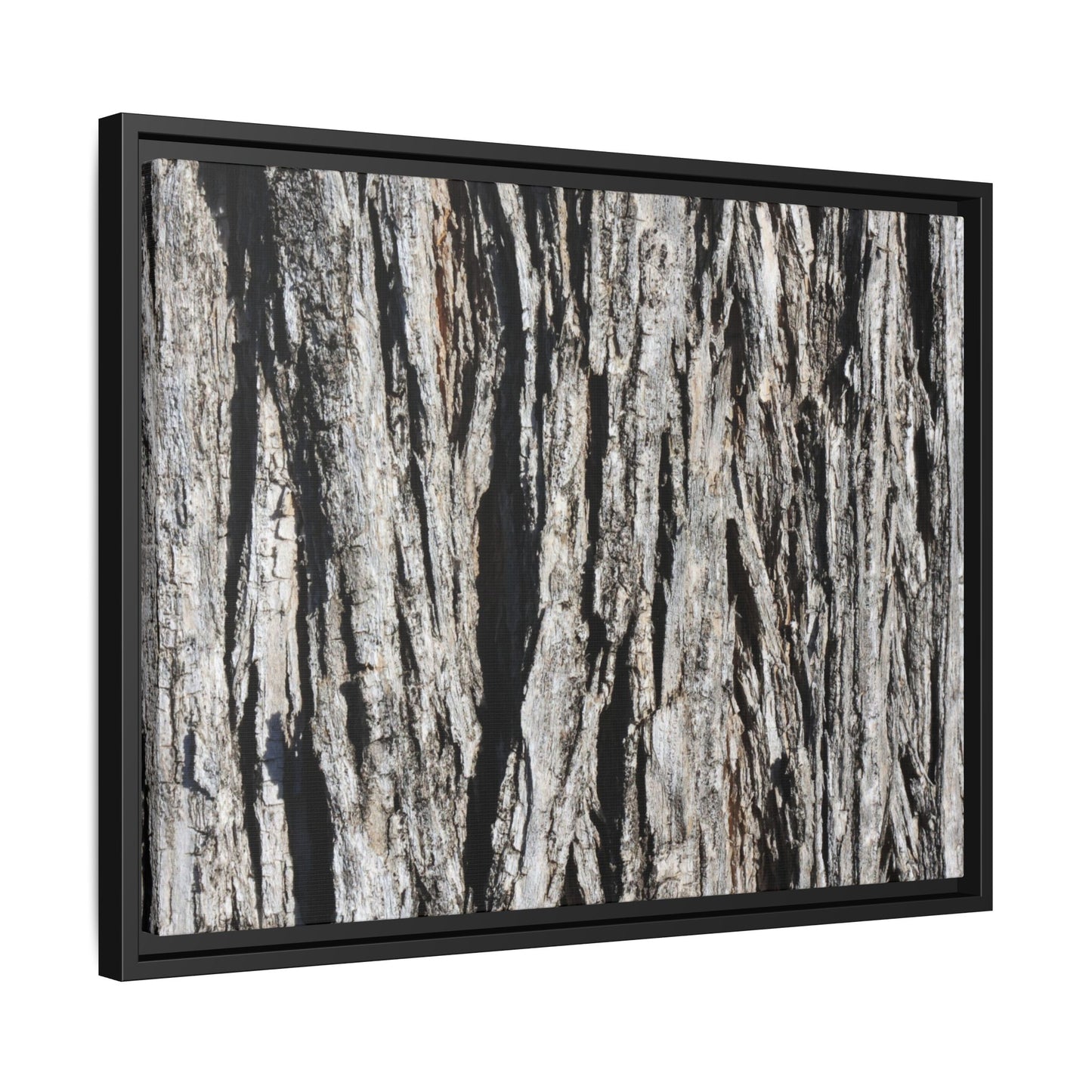 Bark Lines - Unique Stretched Canvas Wall Art
