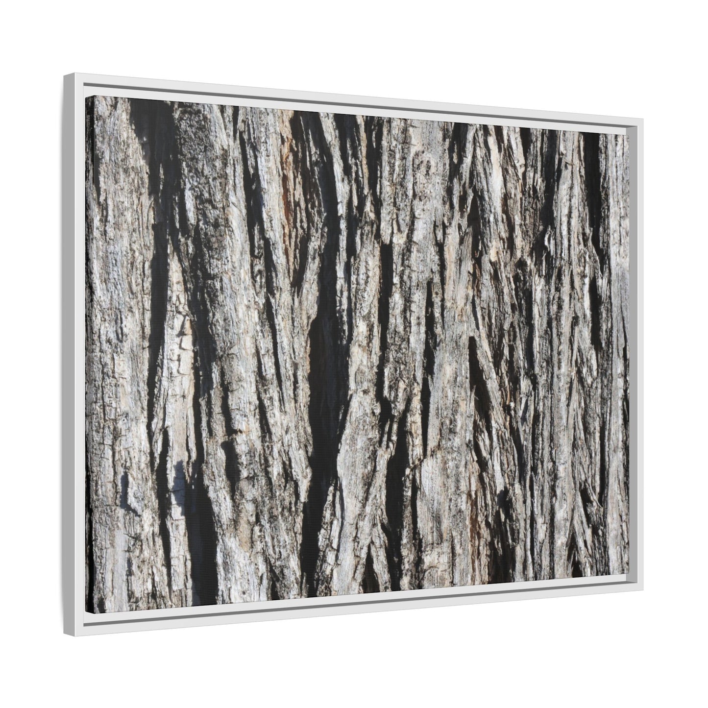 Bark Lines - Unique Stretched Canvas Wall Art