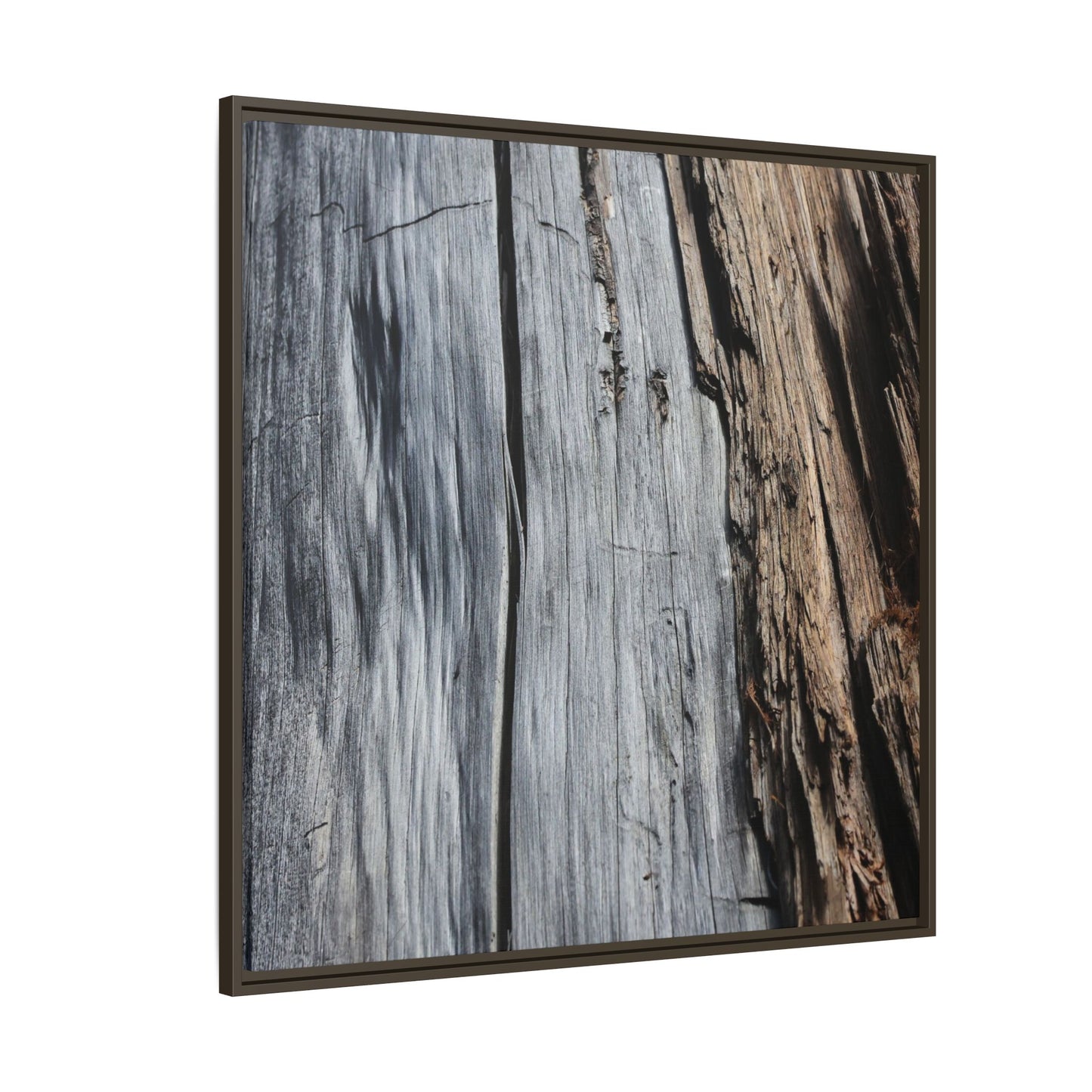 Wood's Lament - Unique Stretched Canvas Wall Art