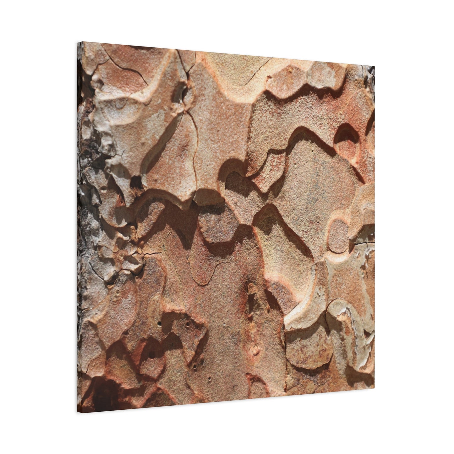 Terracotta Echoes - Unique Frameless Canvas Wall Art