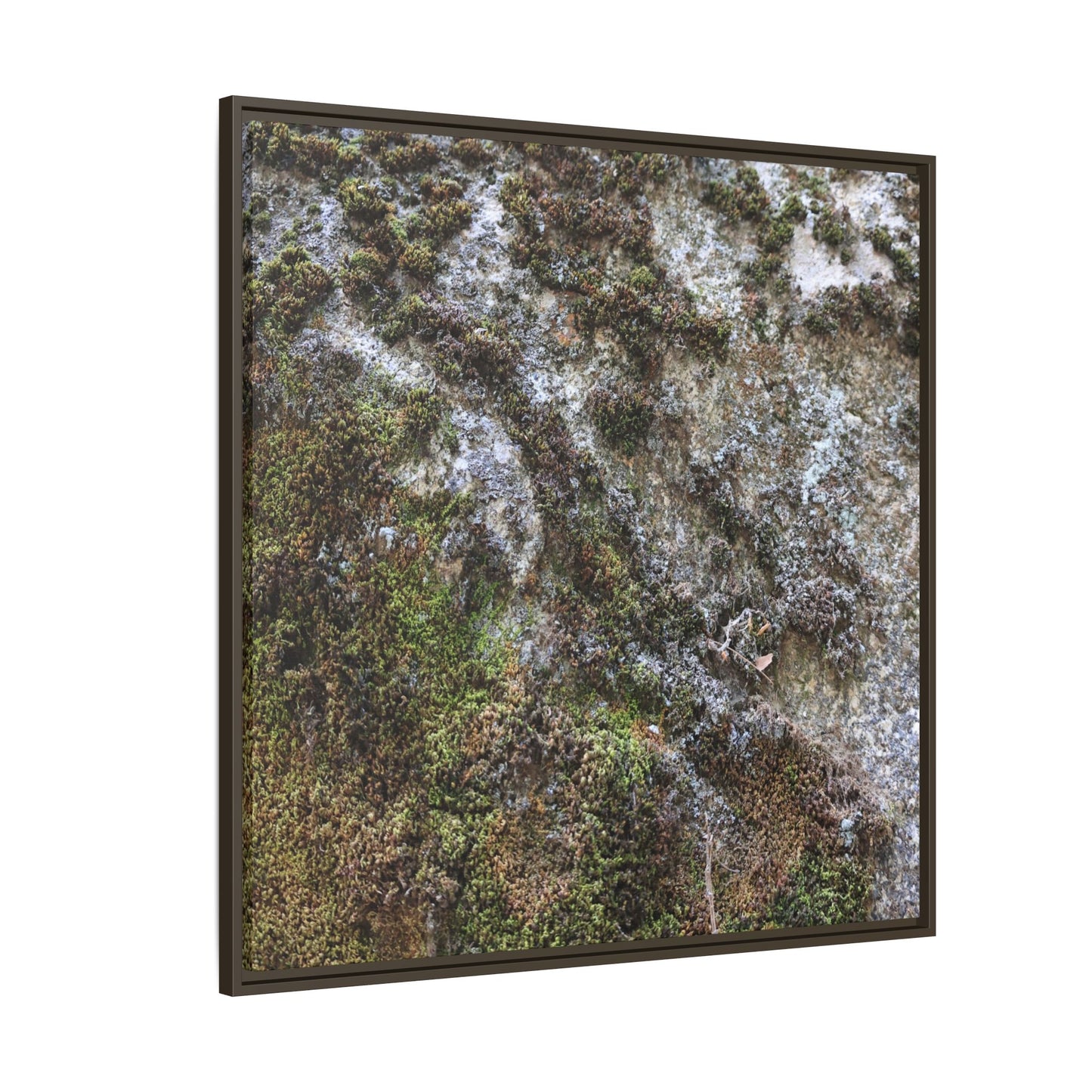 Mossy Whispers - Unique Stretched Canvas Wall Art