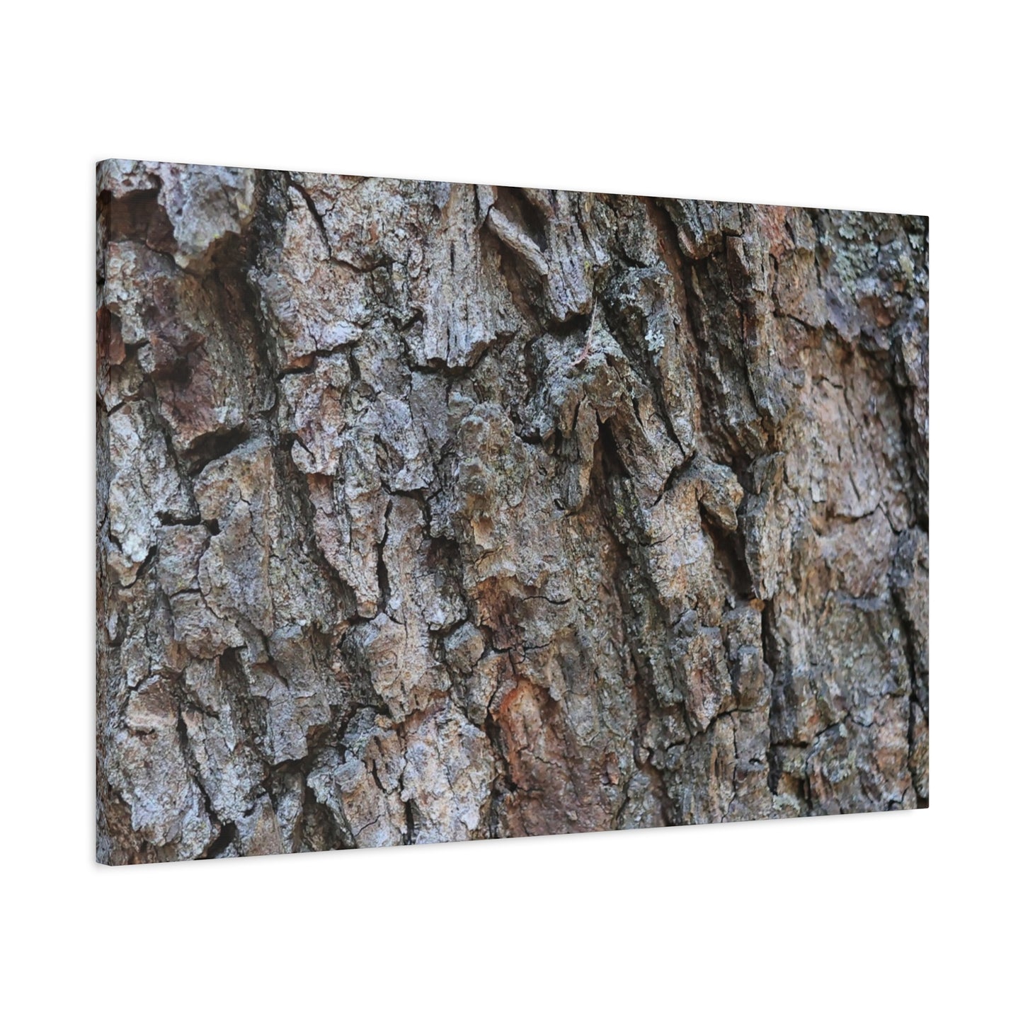 Rugged Canvas - Unique Frameless Canvas Wall Art