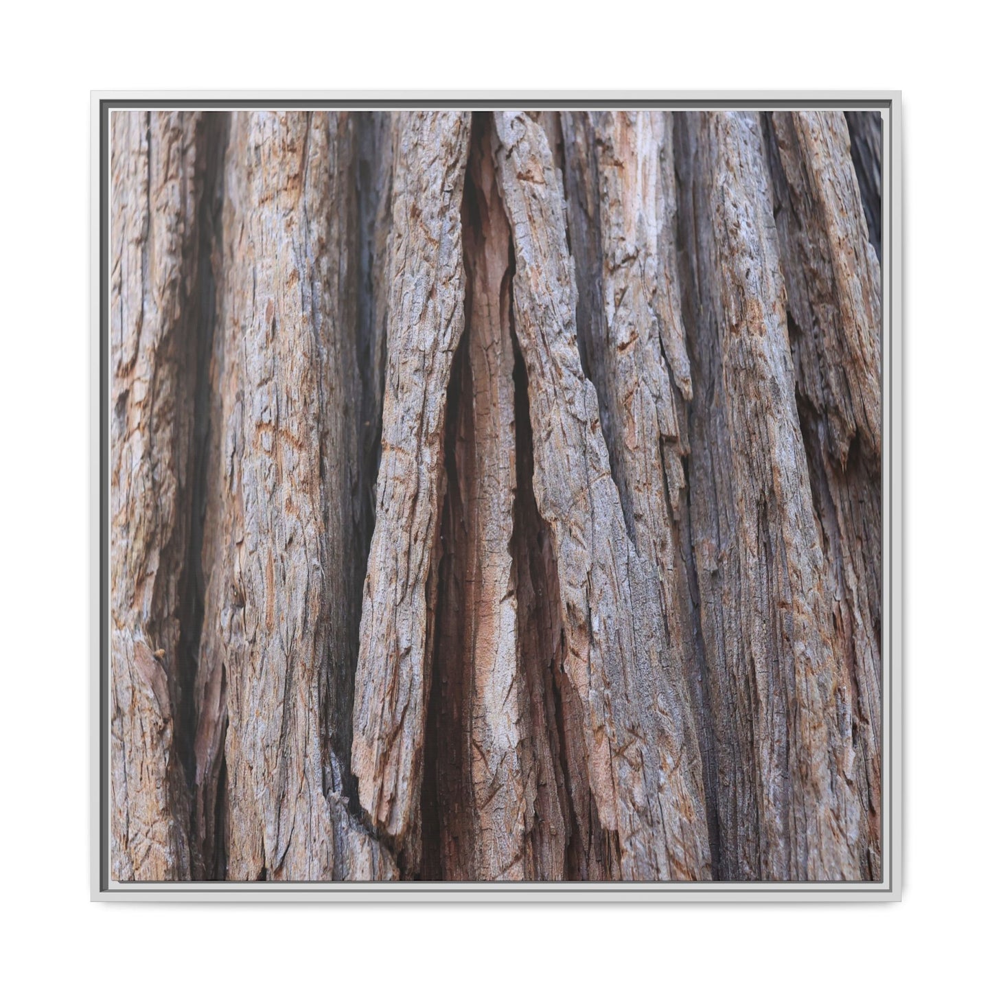 Nature's Sculpture - Unique Stretched Canvas Wall Art