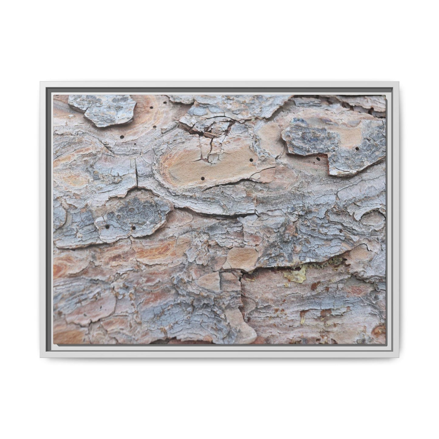 Peeling Memories - Unique Stretched Canvas Wall Art