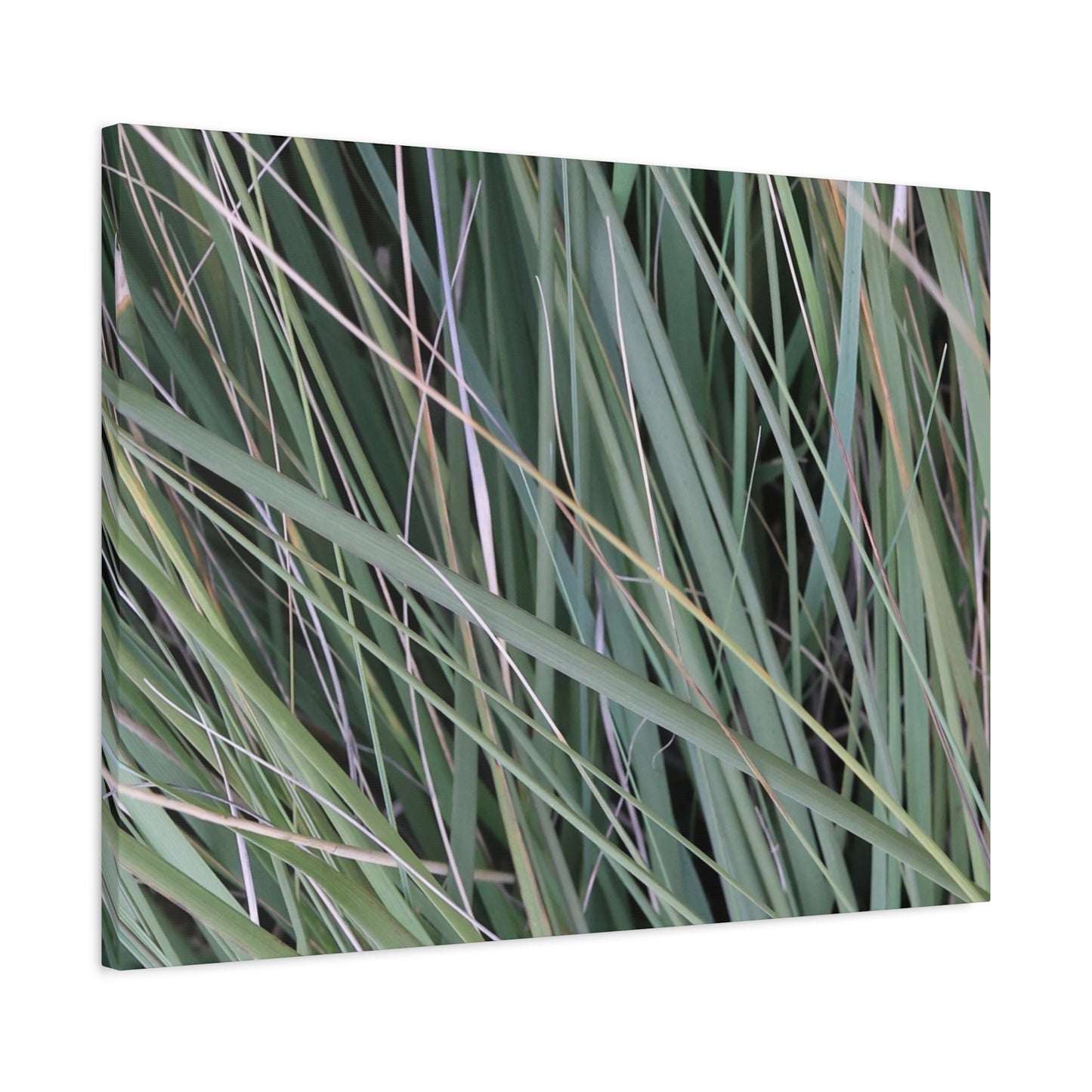 Whispers of Green - Unique Frameless Canvas Wall Art