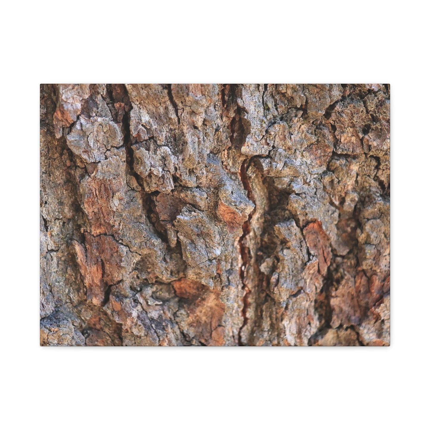 Roots of Time - Unique Frameless Canvas Wall Art