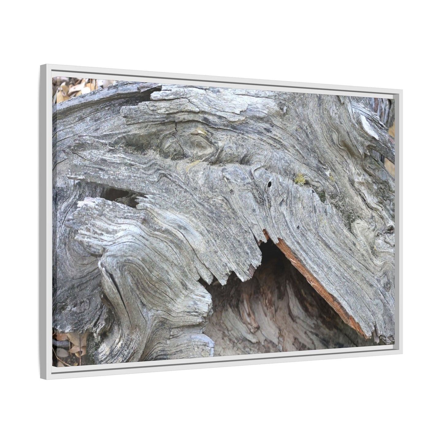 Driftwood Dreams - Unique Stretched Canvas Wall Art