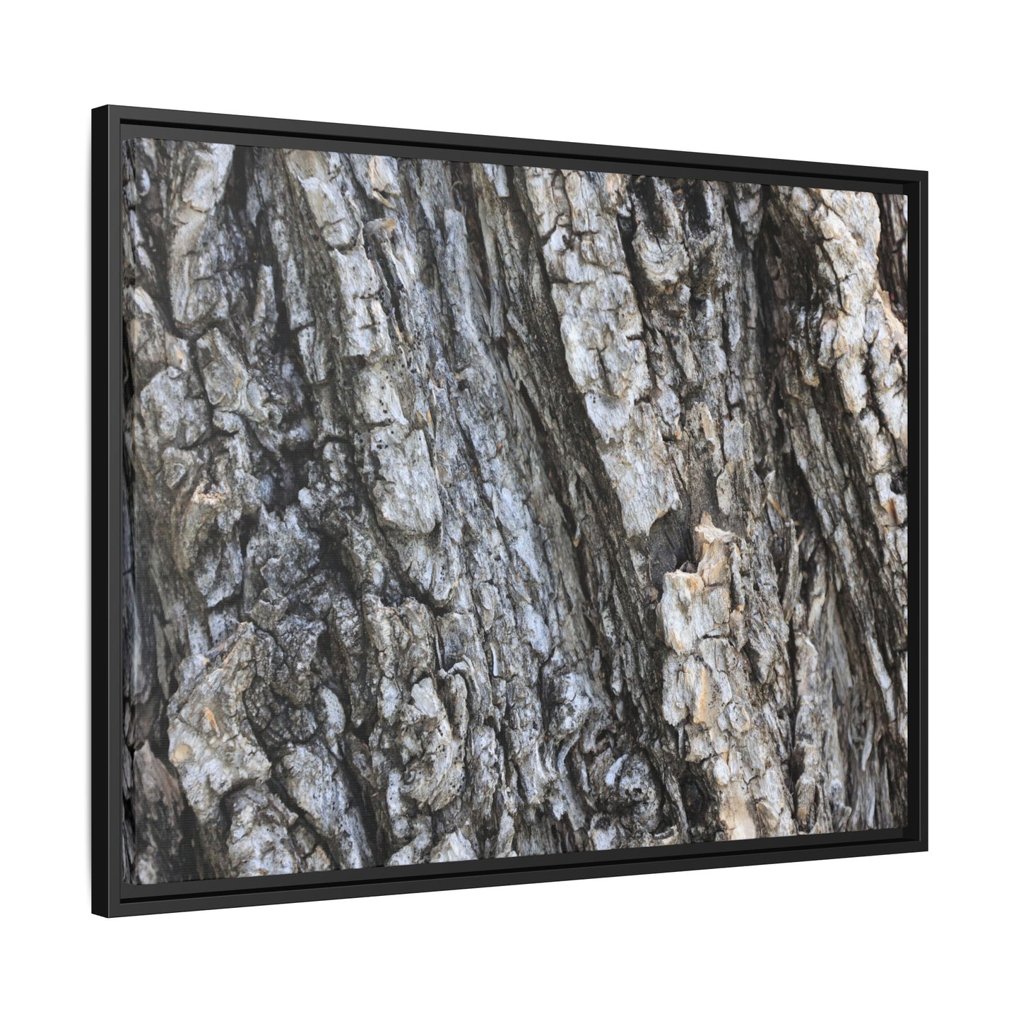 Twisted Textures - Unique Stretched Canvas Wall Art