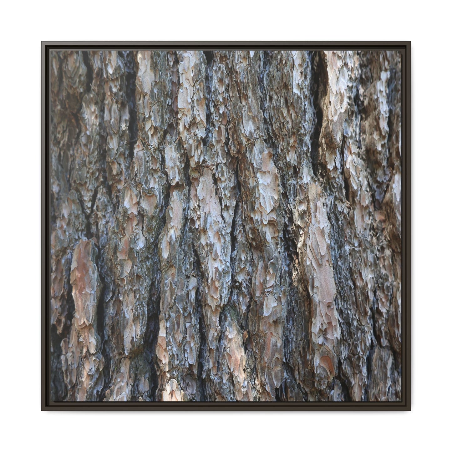 Bark Whispers - Unique Stretched Canvas Wall Art