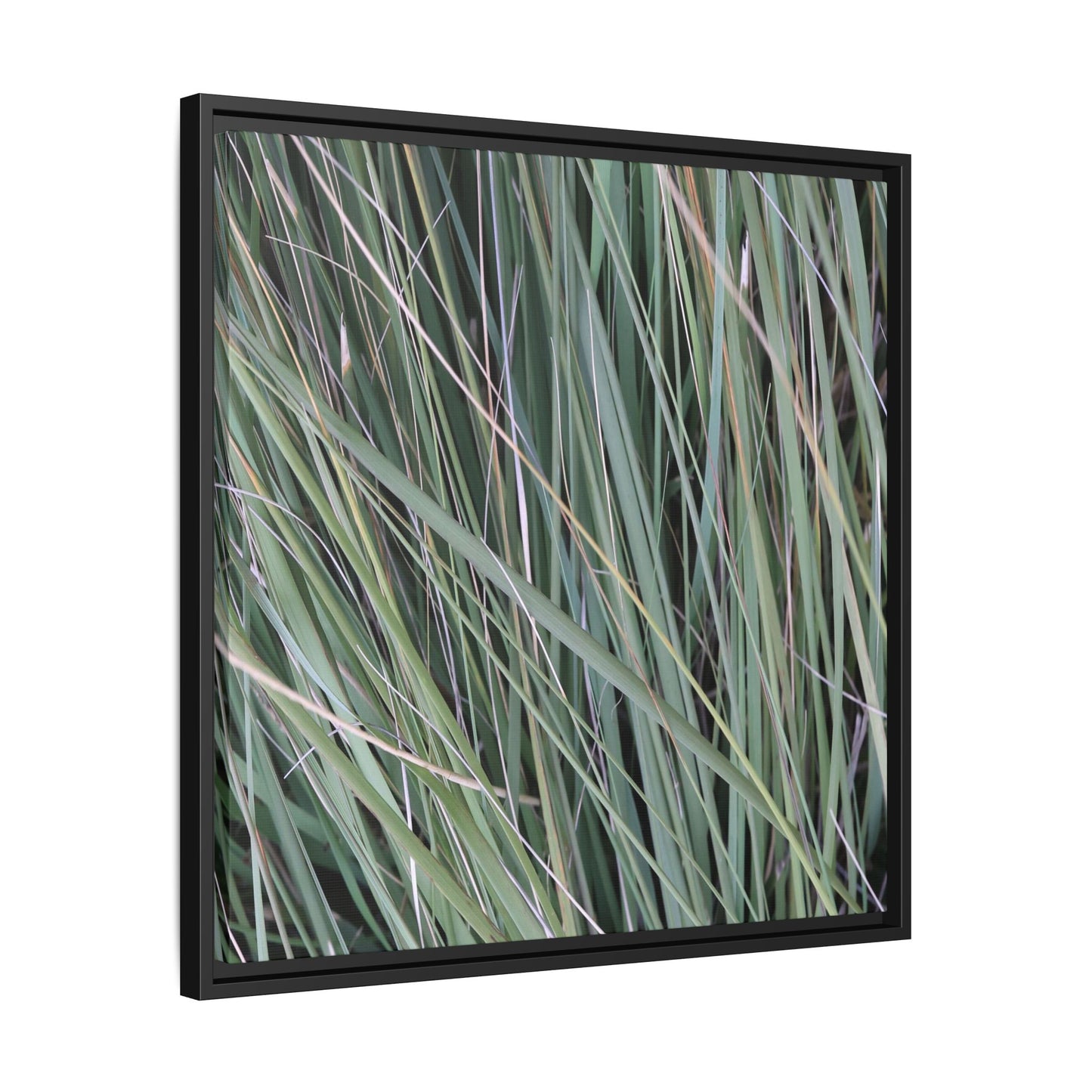 Grassland Symphony - Unique Stretched Canvas Wall Art