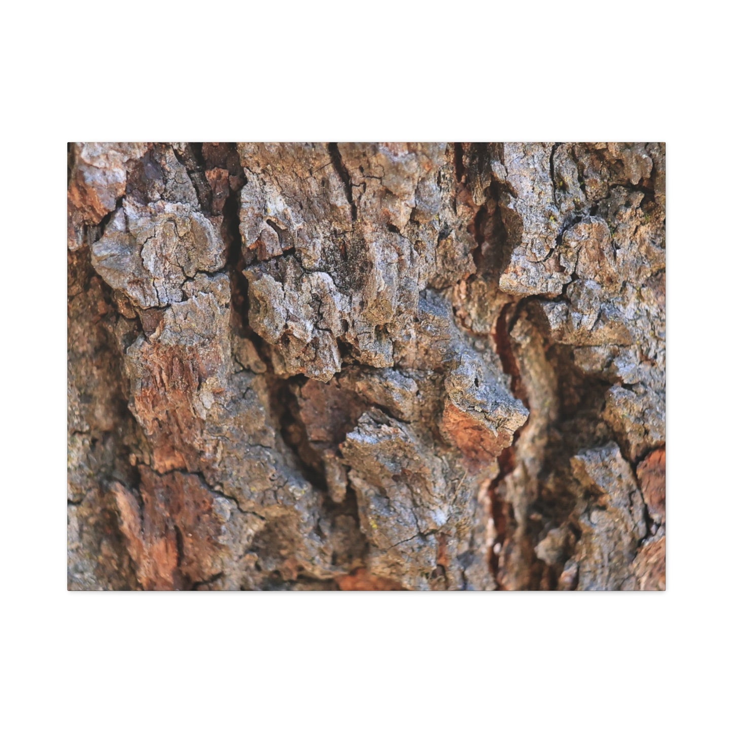 Nature's Skin - Unique Frameless Canvas Wall Art