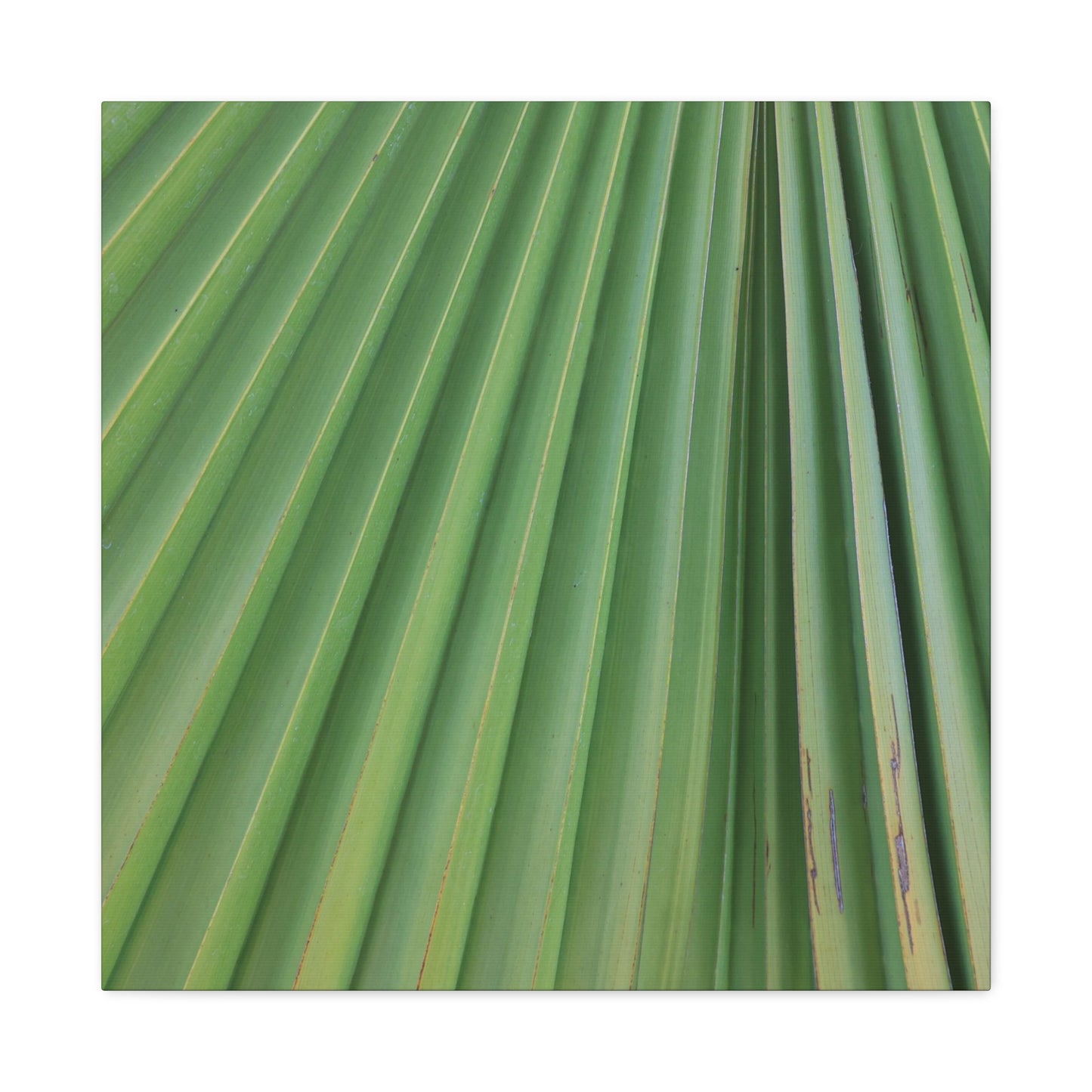Palm Pulse - Unique Frameless Canvas Wall Art