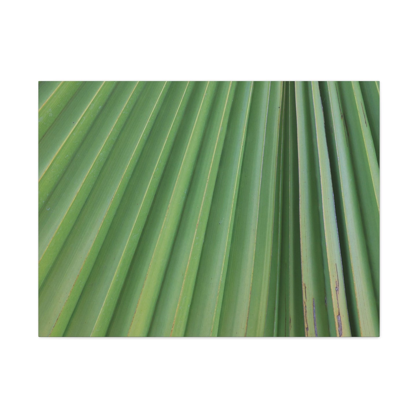 Palm Pulse - Unique Frameless Canvas Wall Art