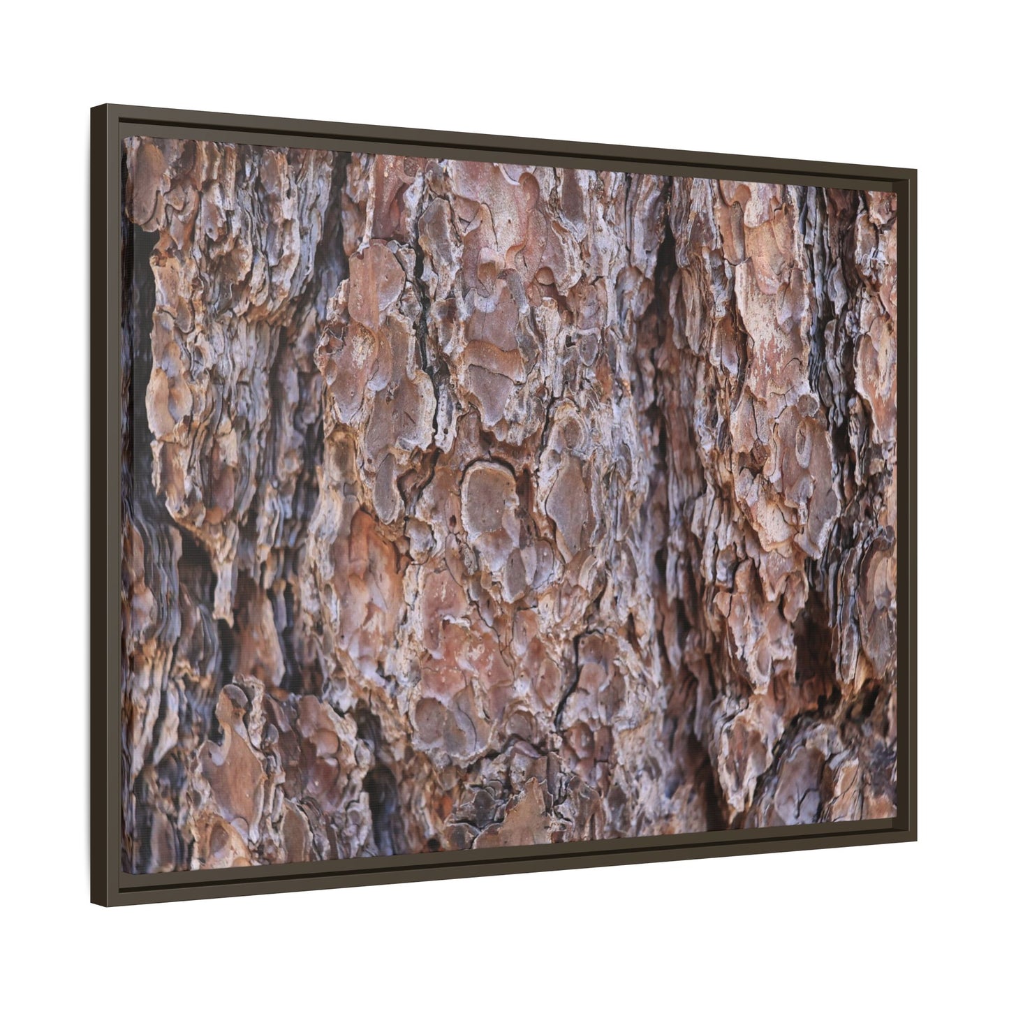 Woody Layers - Unique Stretched Canvas Wall Art