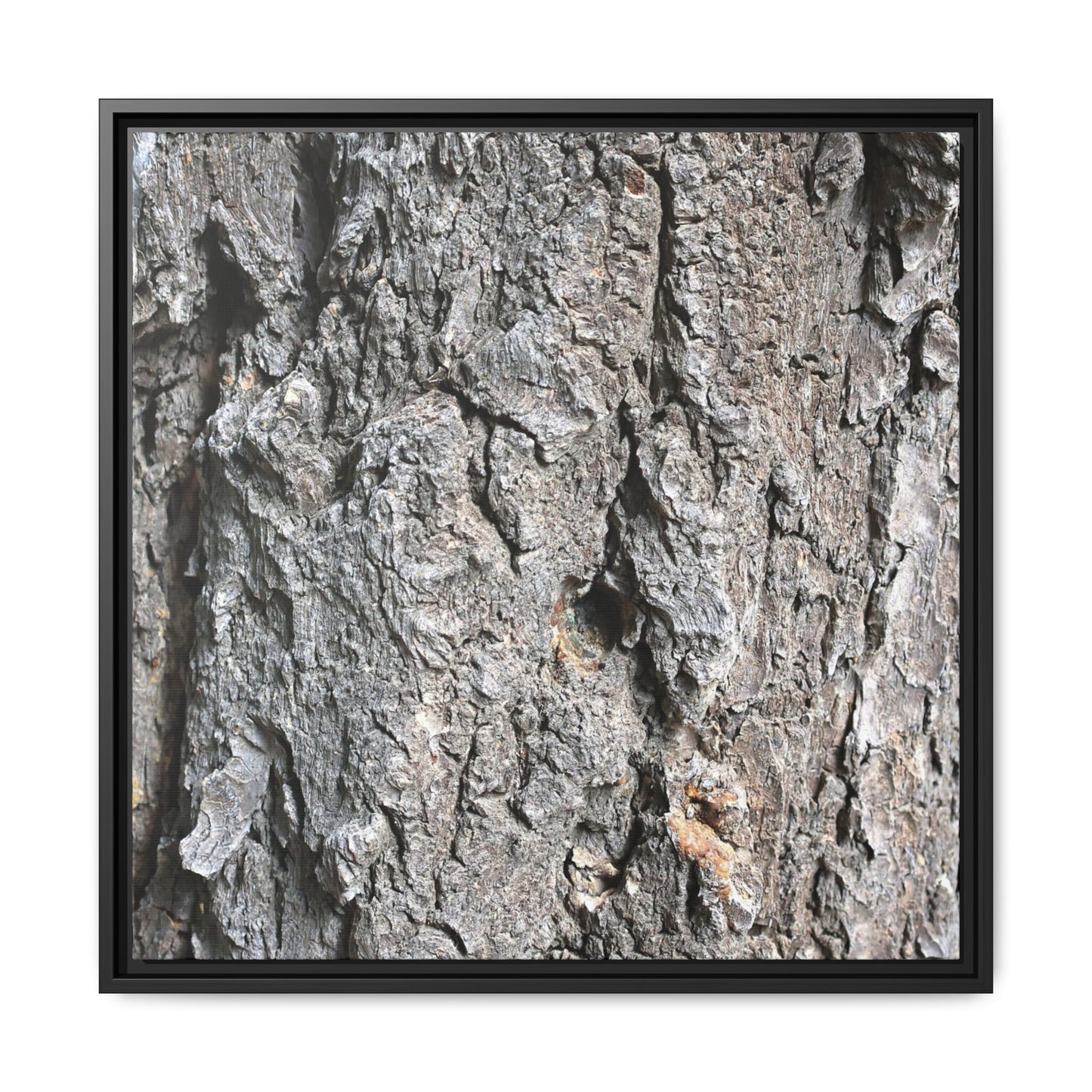 Crusty Exterior - Unique Stretched Canvas Wall Art