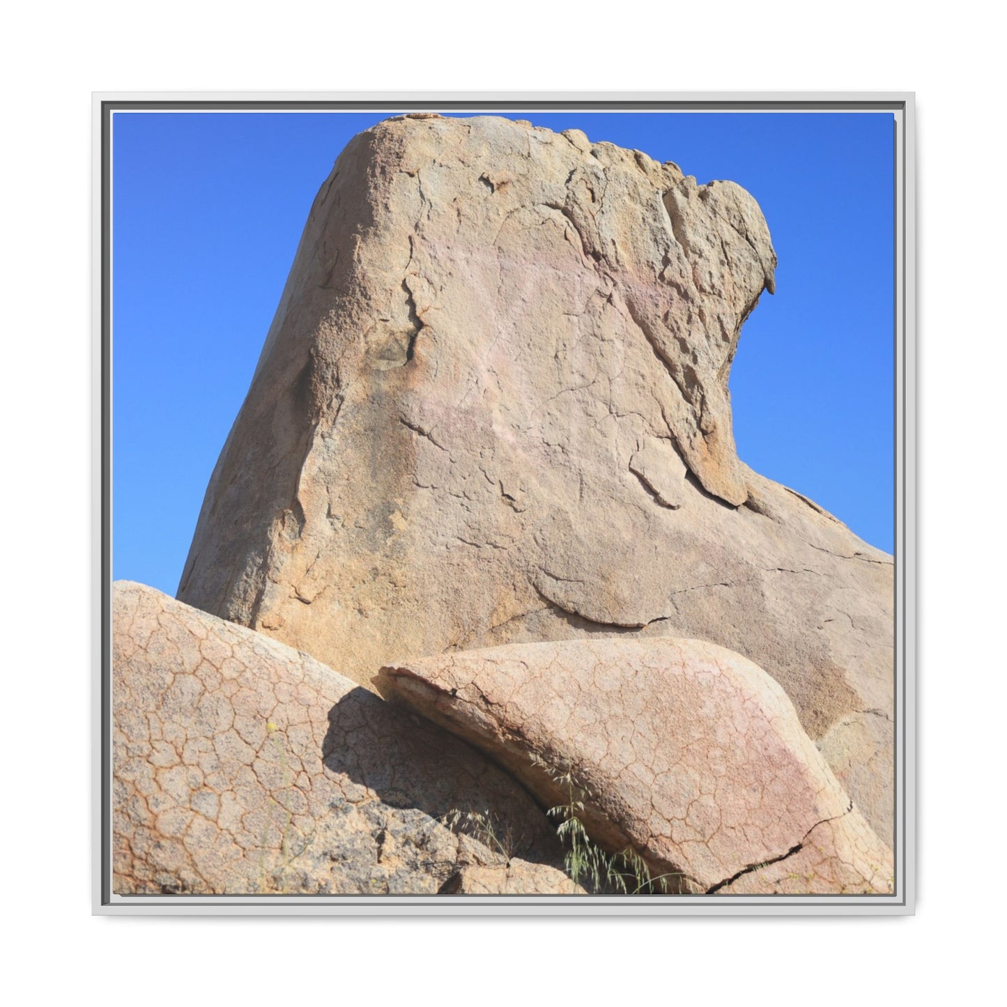Rocky Sentinel - Unique Stretched Canvas Wall Art