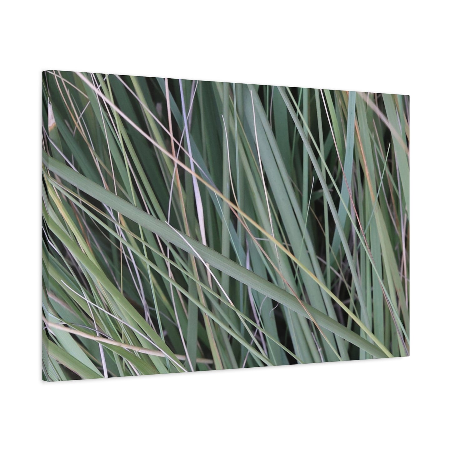 Whispers of Green - Unique Frameless Canvas Wall Art