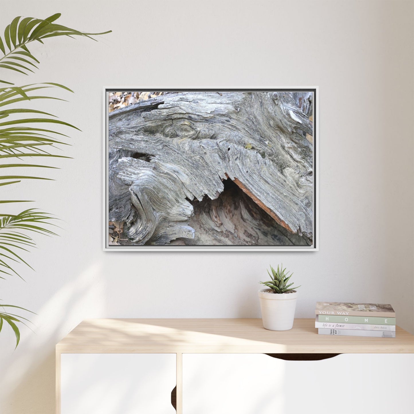 Driftwood Dreams - Unique Stretched Canvas Wall Art