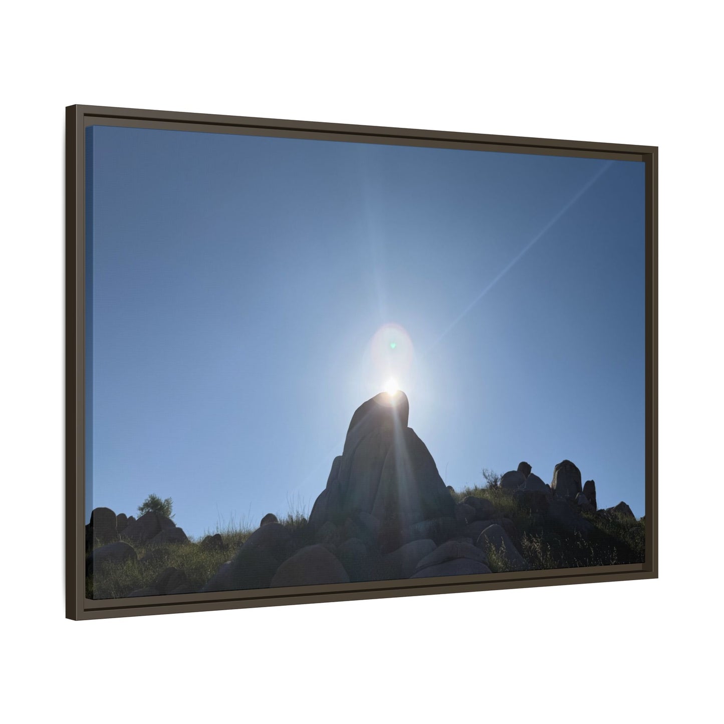 Sunburst - Unique Stretched Canvas Wall Art