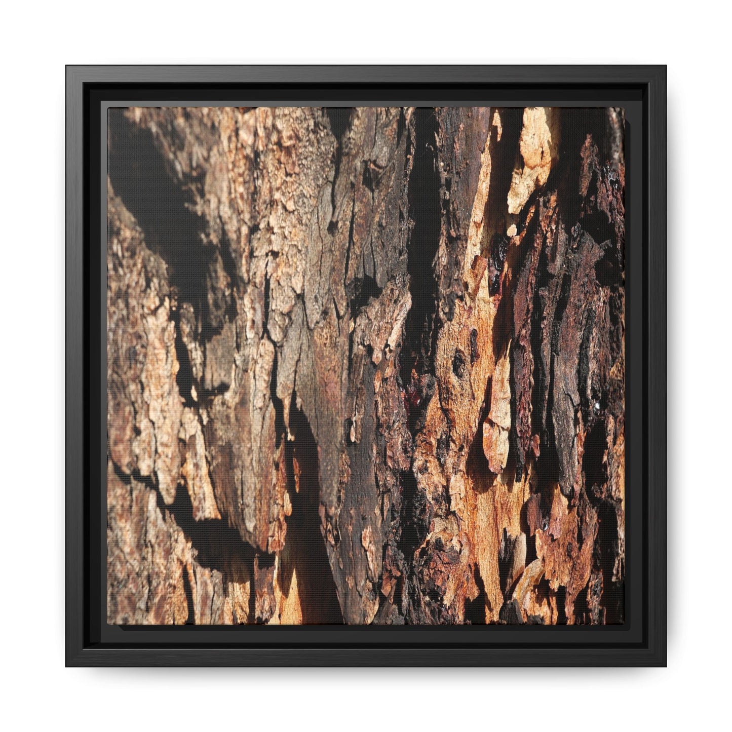 Rugged Beauty - Unique Stretched Canvas Wall Art